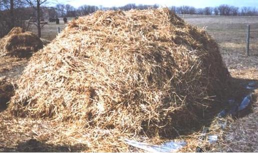 Figure 3. This is a step-by-step look at the composting pile construction procedure:  finishing the pile with adequate straw surrounding the carcass.