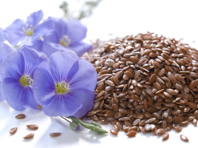 Flax flower and seeds