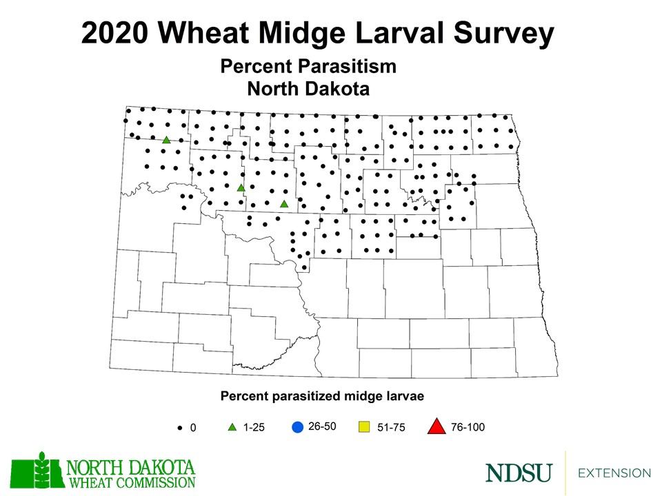 Map of North Dakota indicating percent of parasitism in 2020 survey of wheat midge larvae.