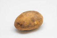 2, 4-D injured potato