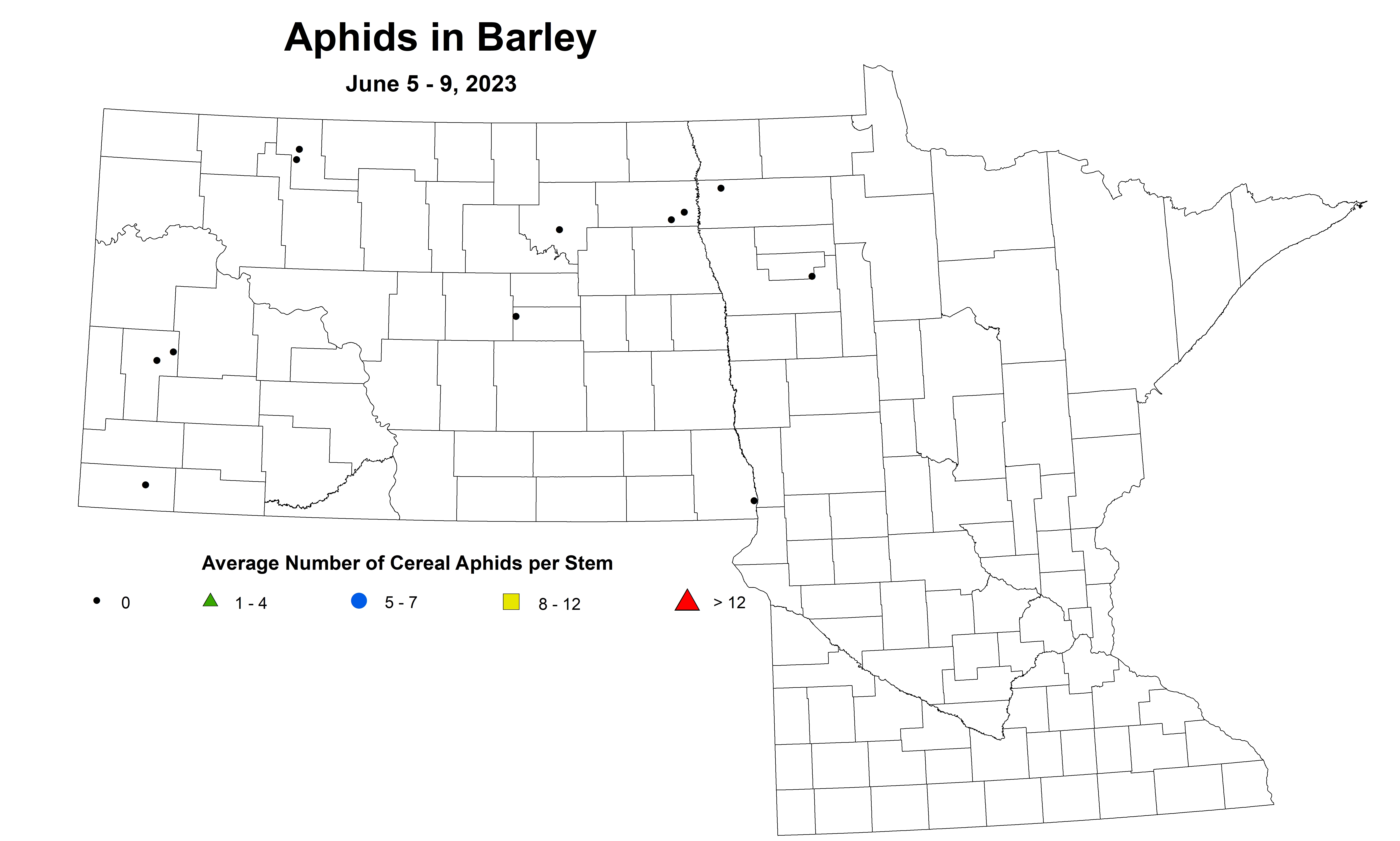 barley aphids June 5-9 2023