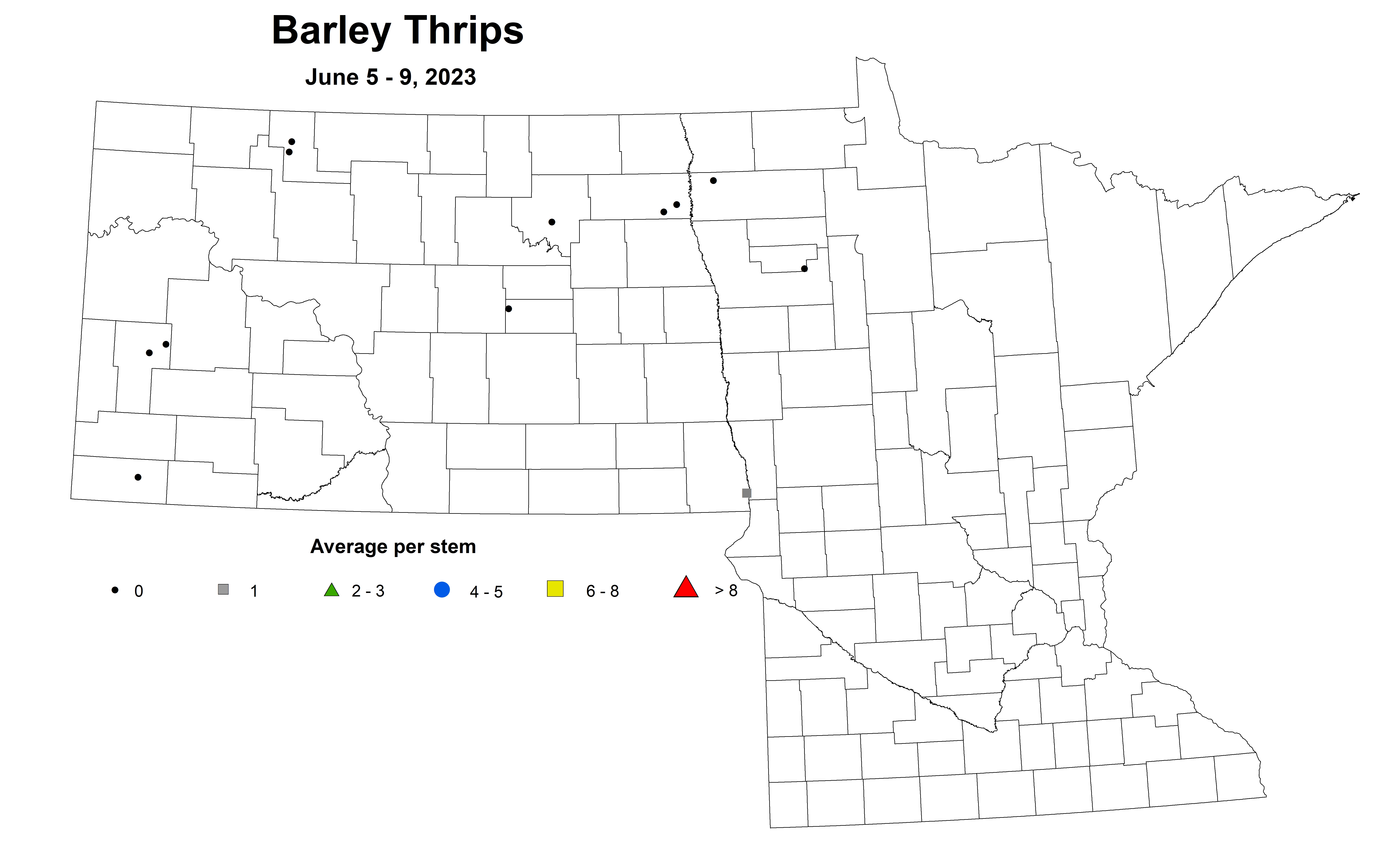 barley thrips June 5-9 2023