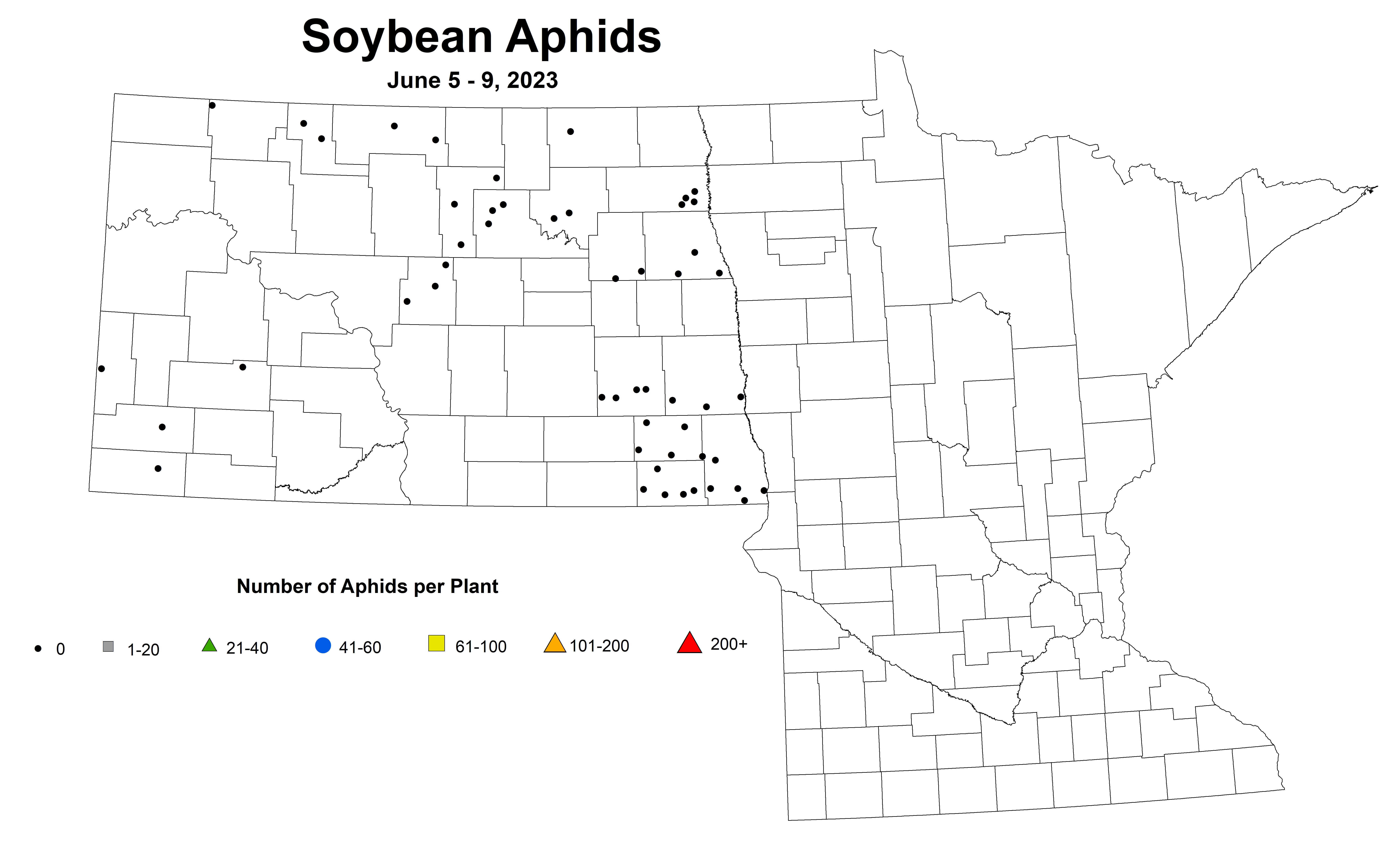 soybean average number of aphids June 5-9 2023