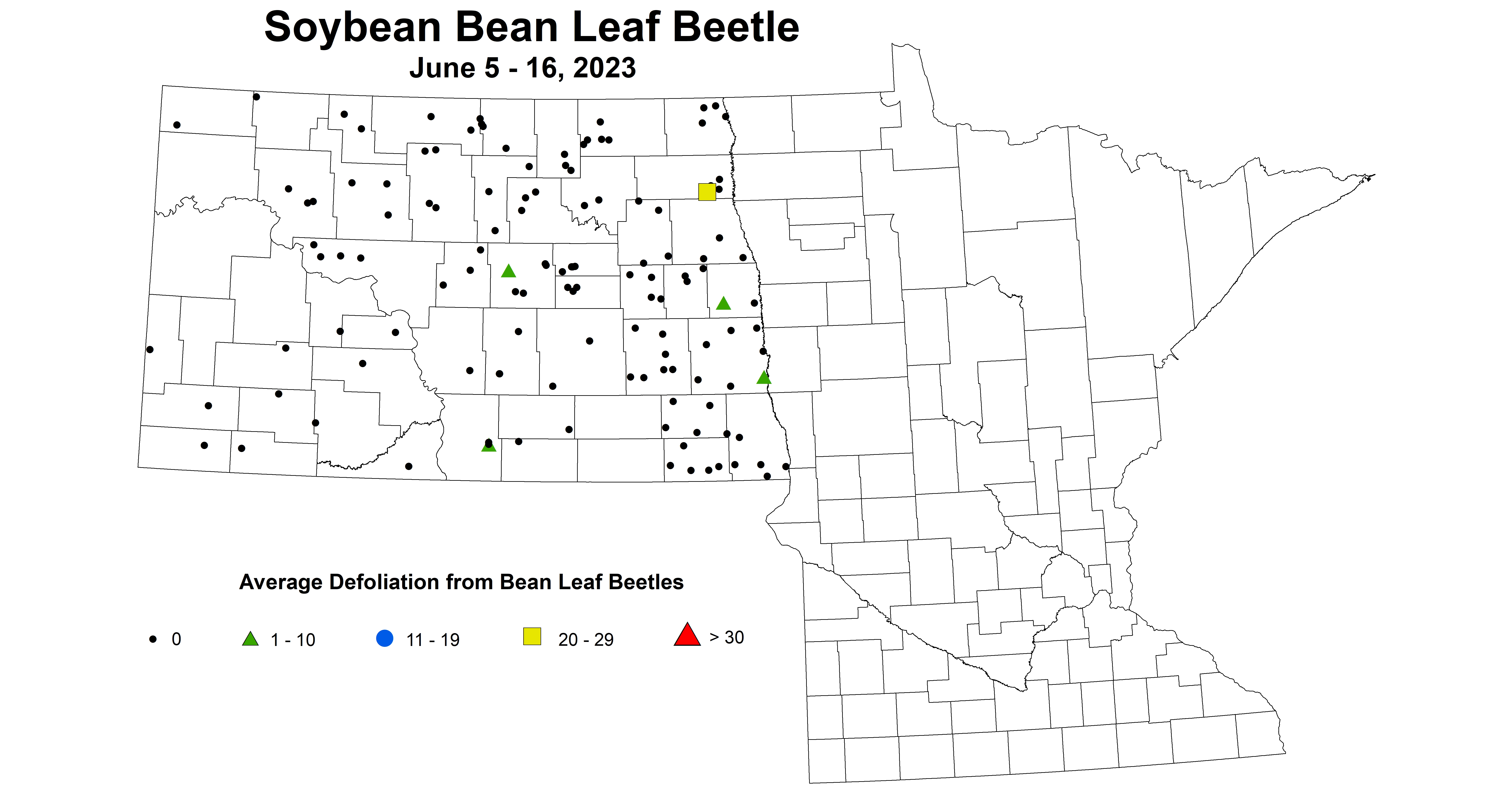 soybean defoliation BLB June 5-16 2023