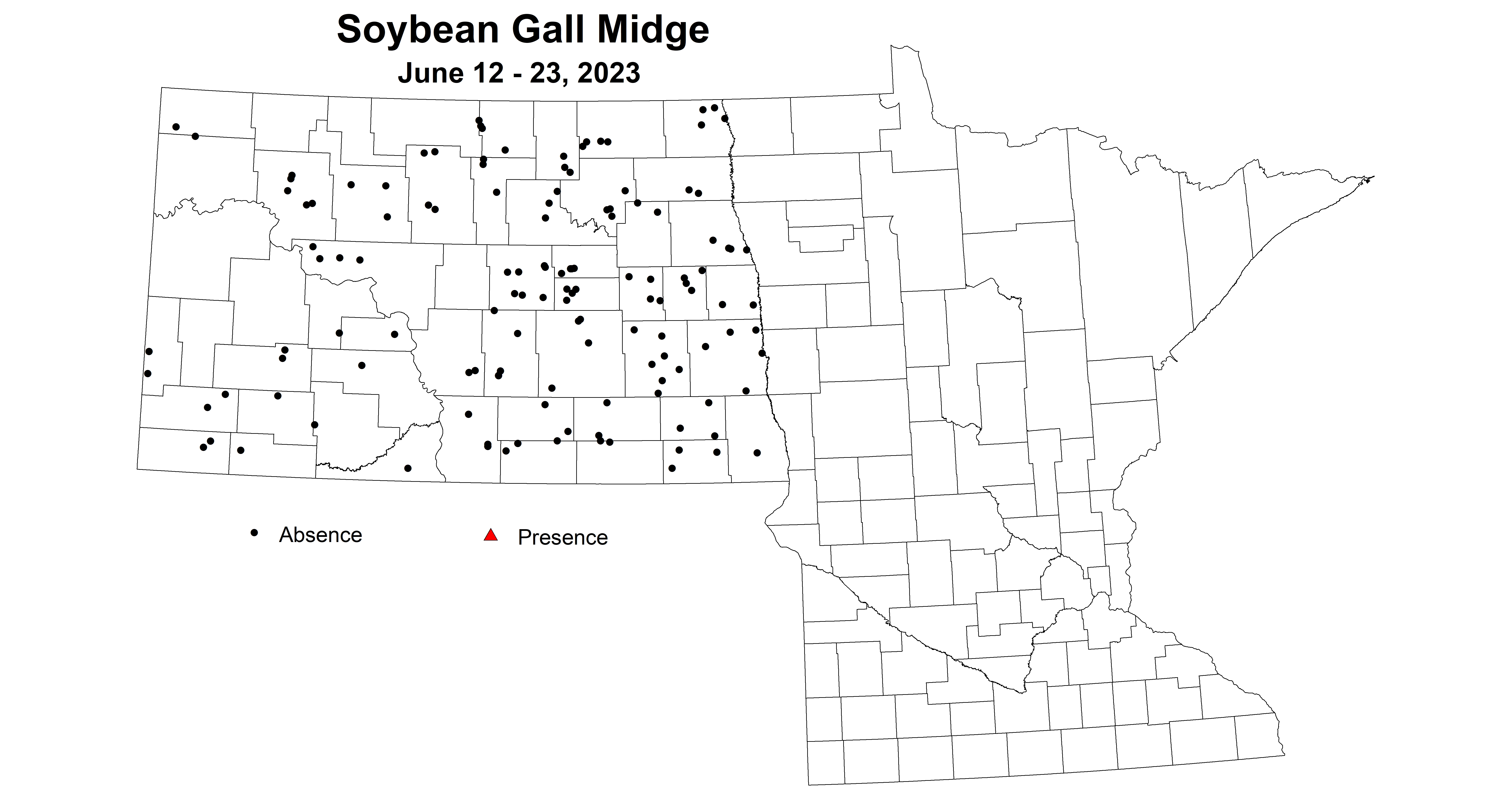 soybean gall midge June 12-23 2023 updated