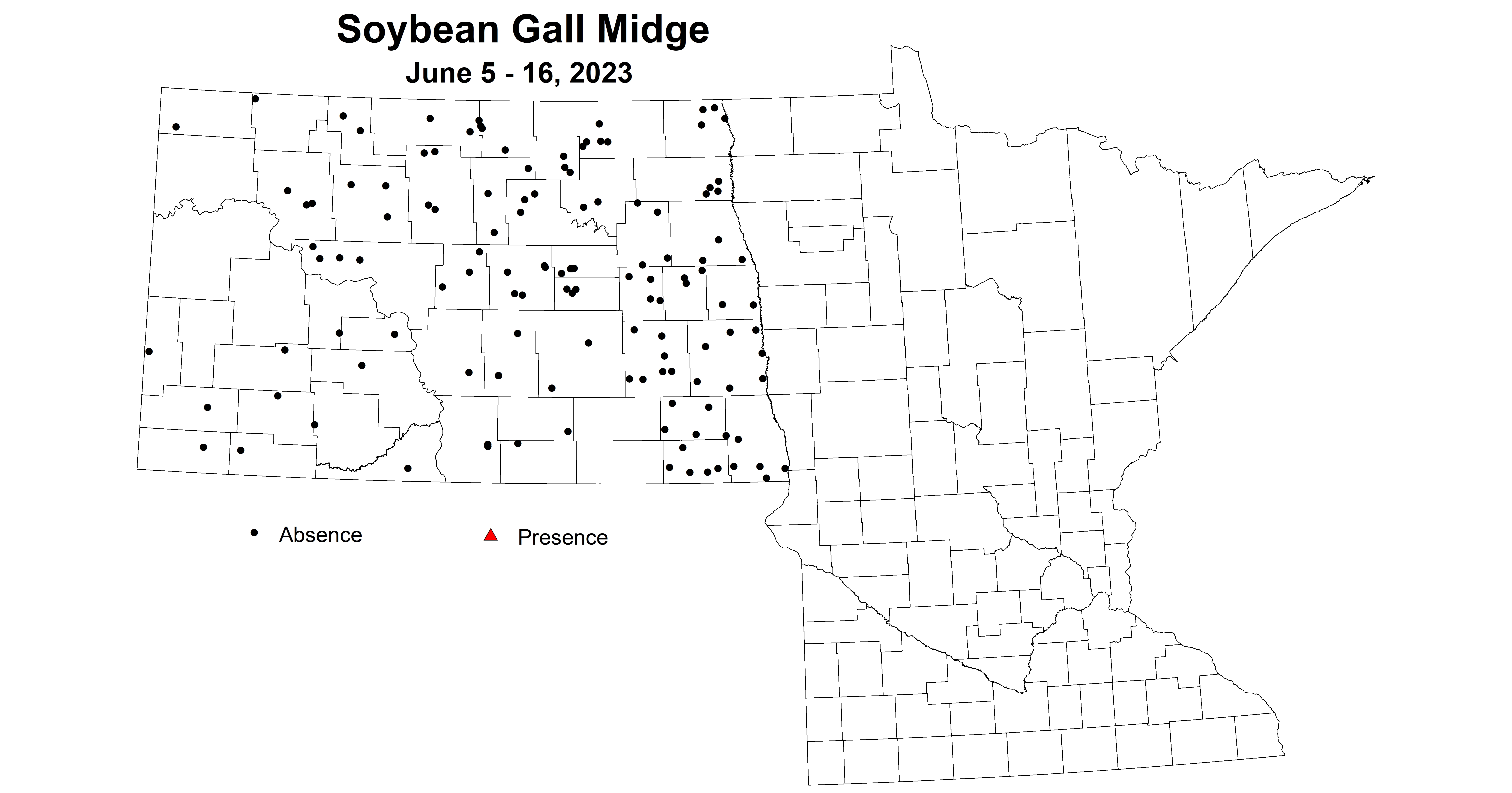 soybean gall midge June 5-16 2023