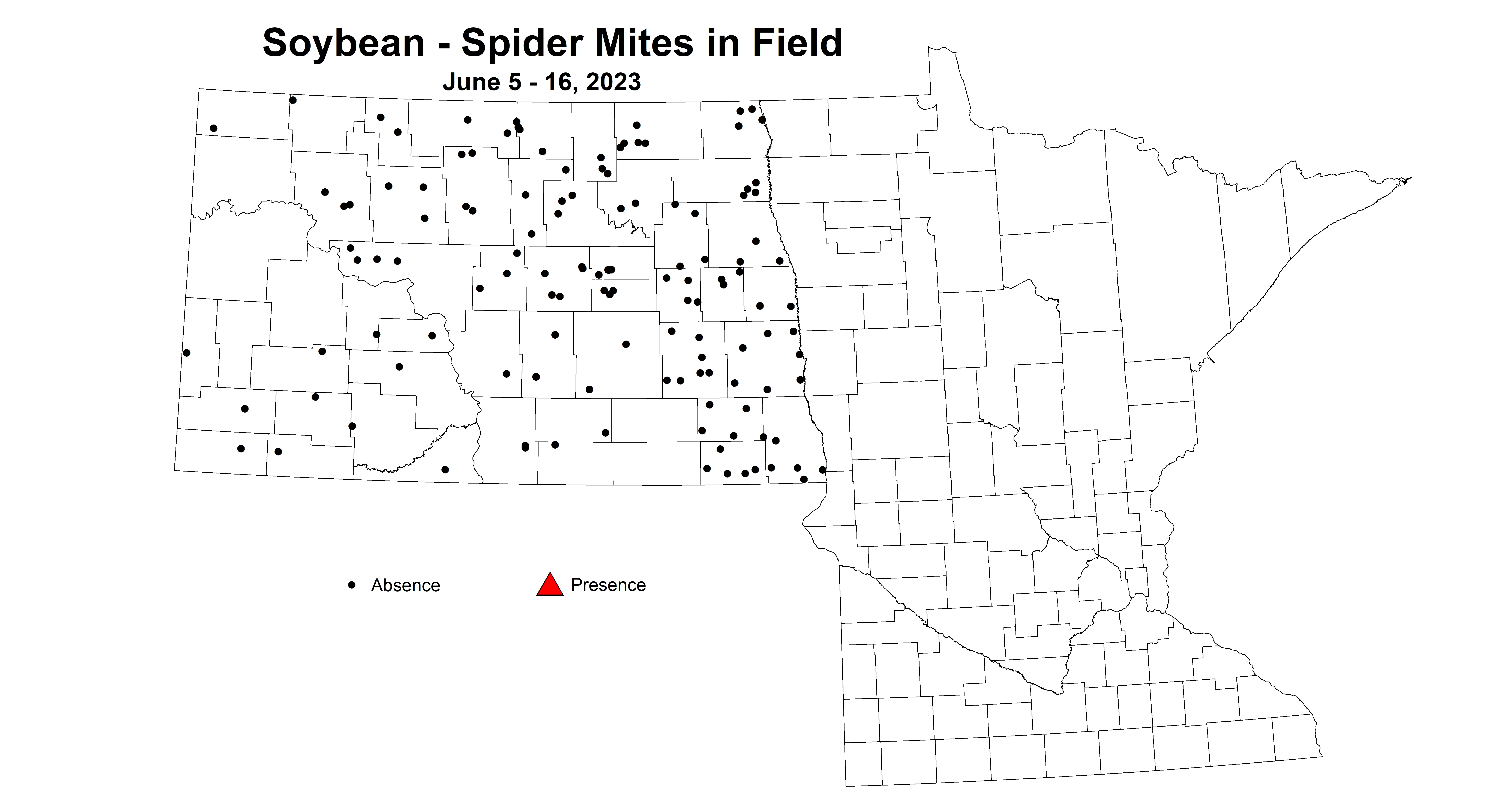 soybean spider mites in field June 5-16 2023