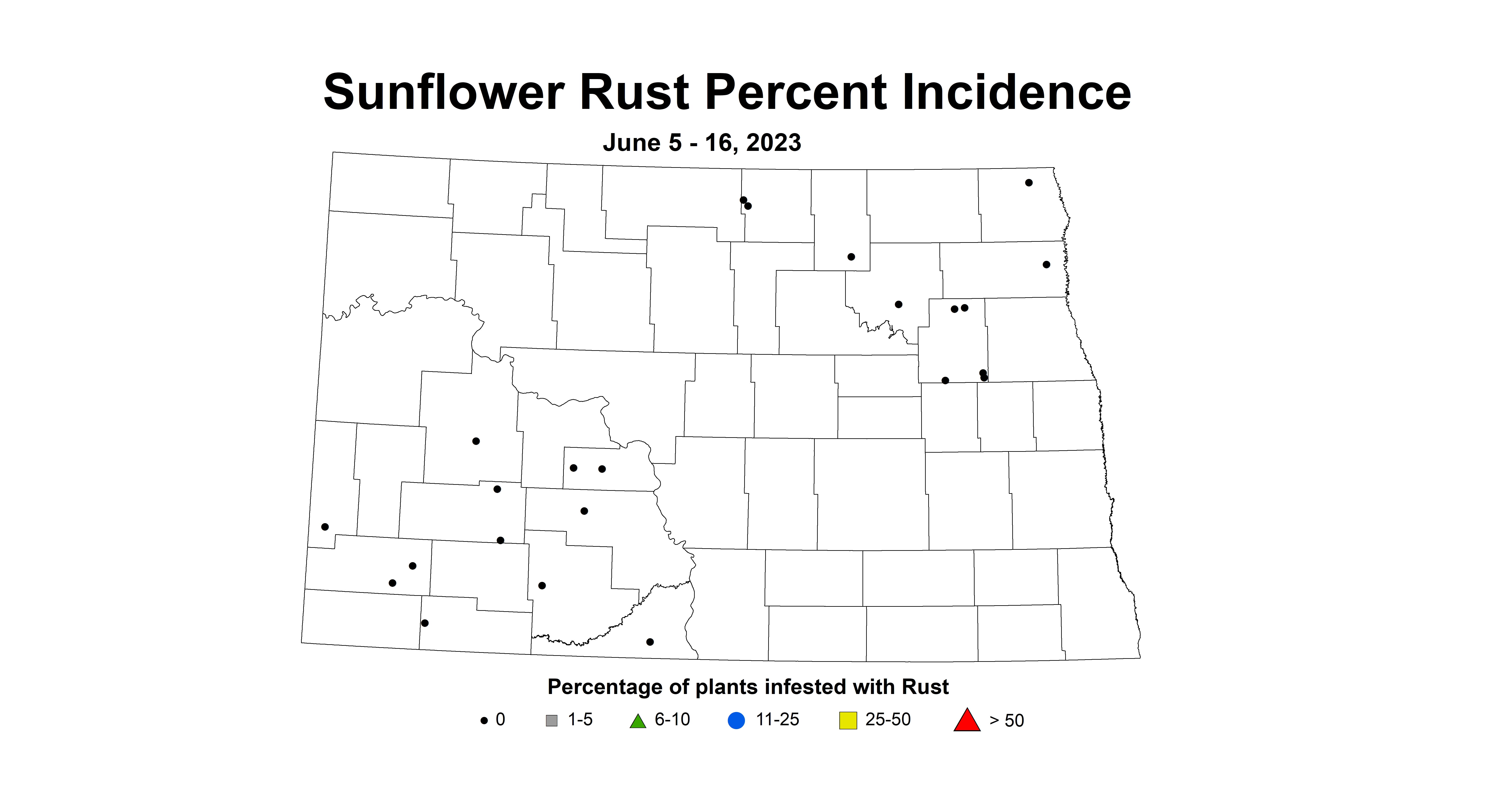 sunflower rust incidence June 5-16 2023