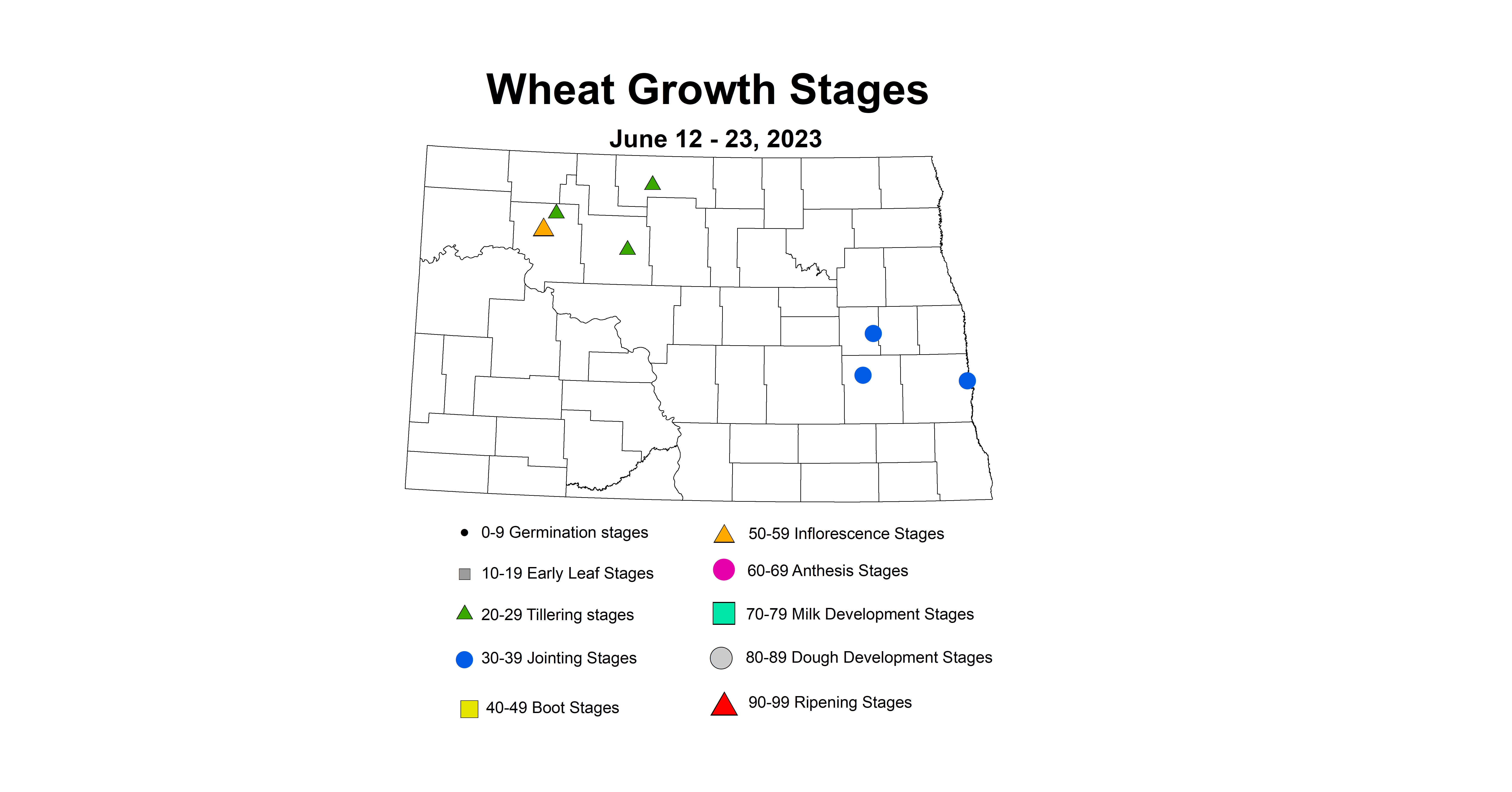 wheat insect trap growth stages June 12-23 2023