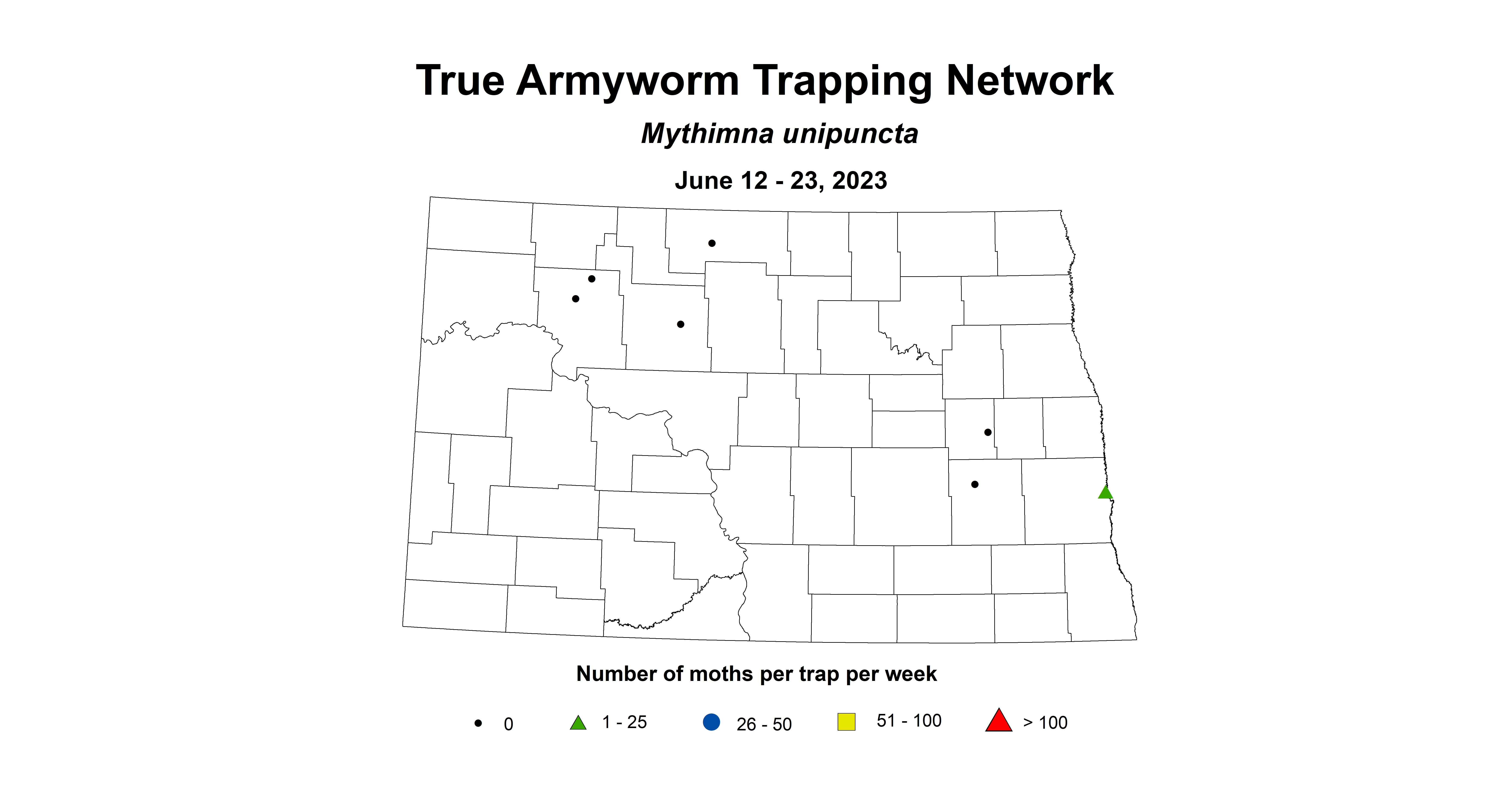wheat insect trap true armyworm June 12-23 2023