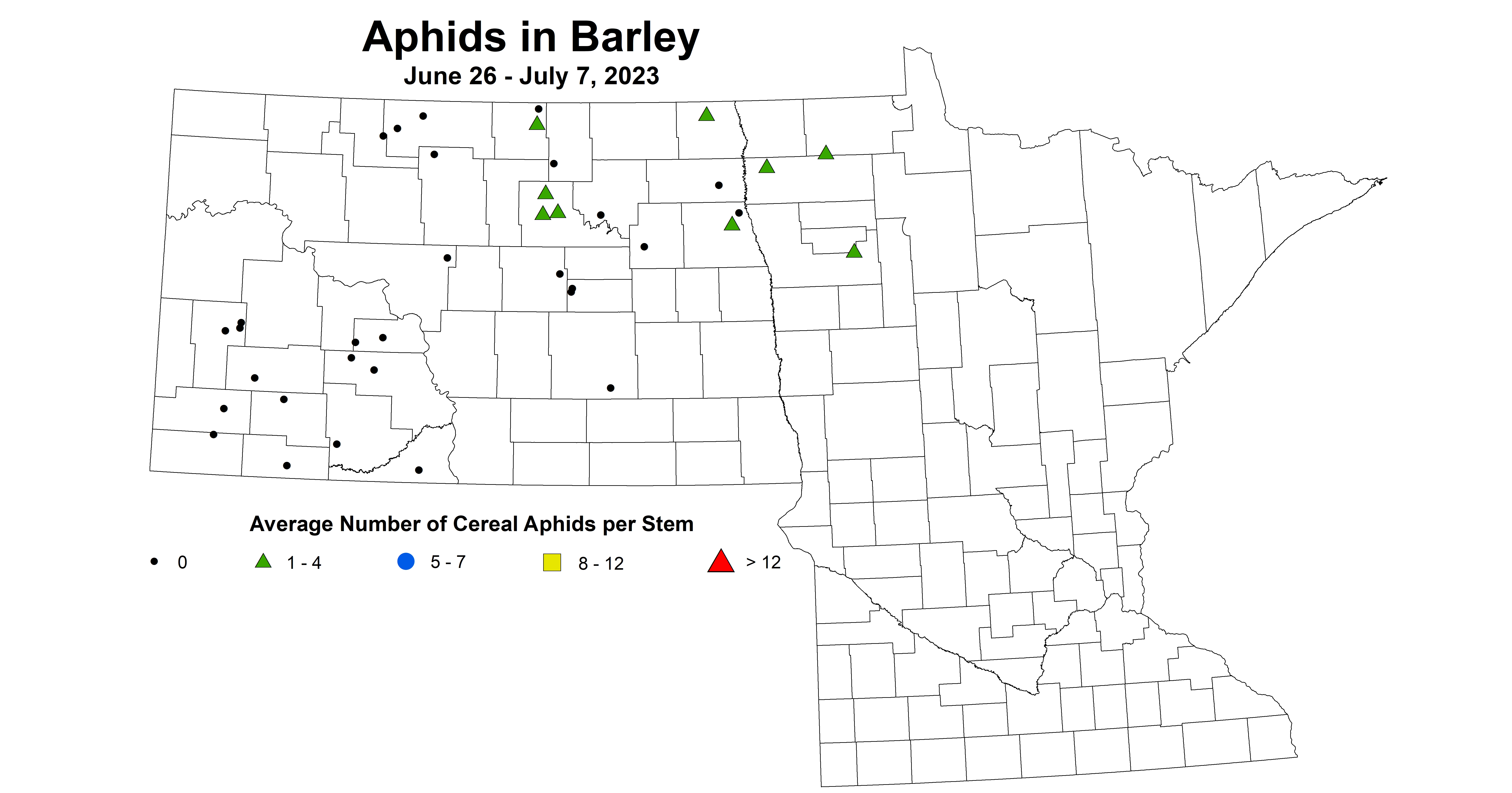 barley aphid June 26 - July 7 2023