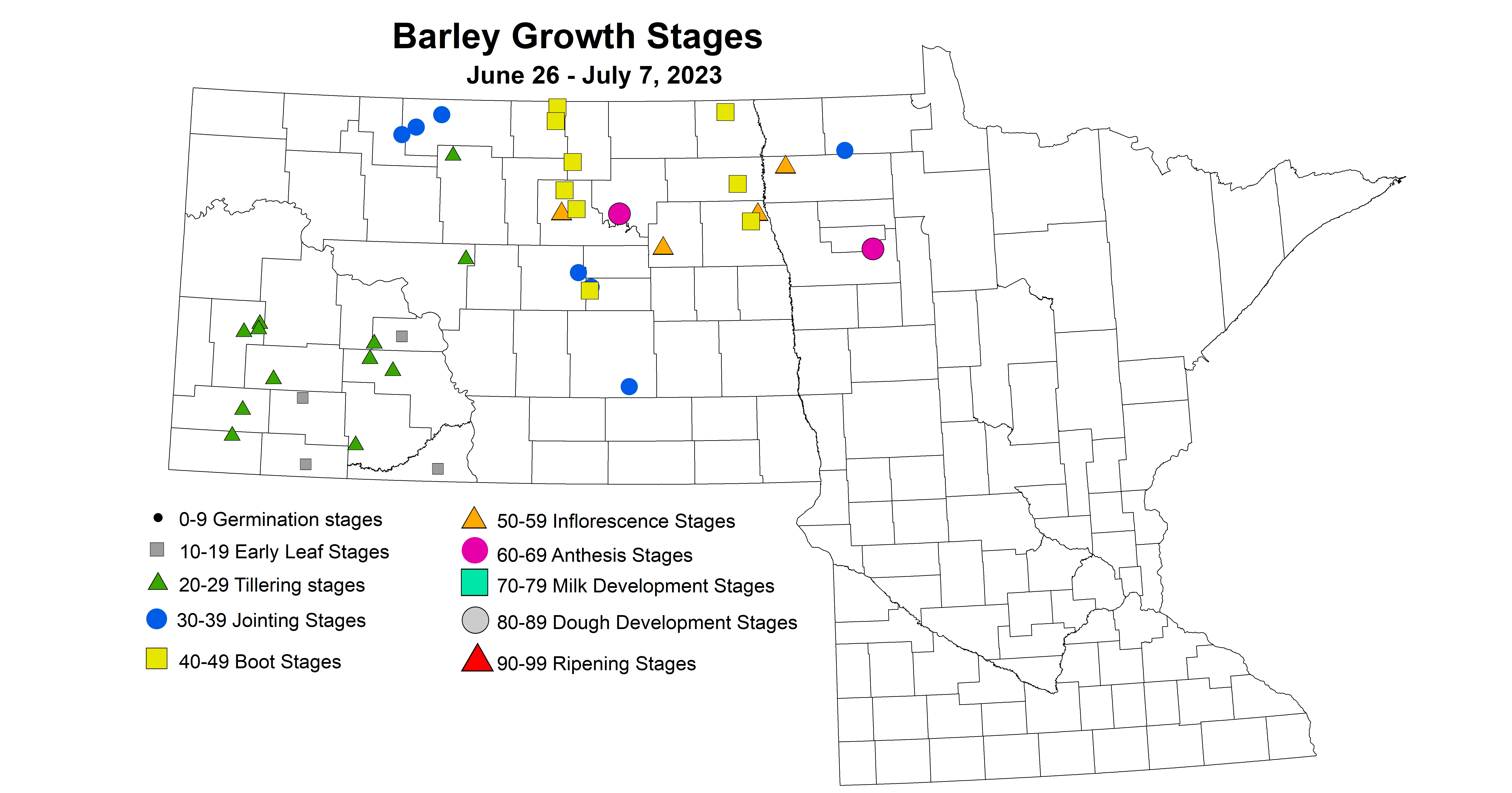 barley growth stages June 26 - July 7 2023