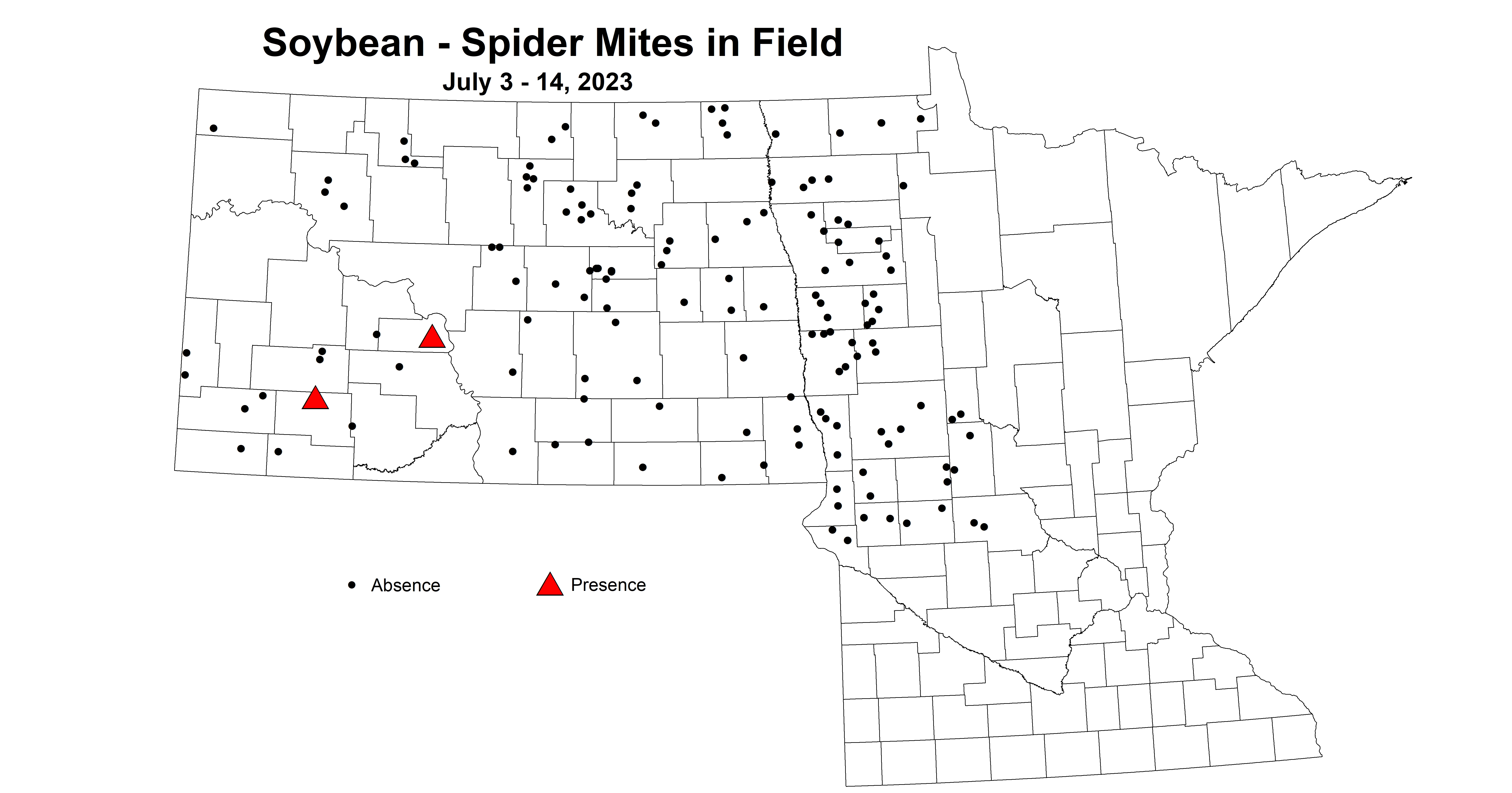soybean spider mites in field July 3-14 2023