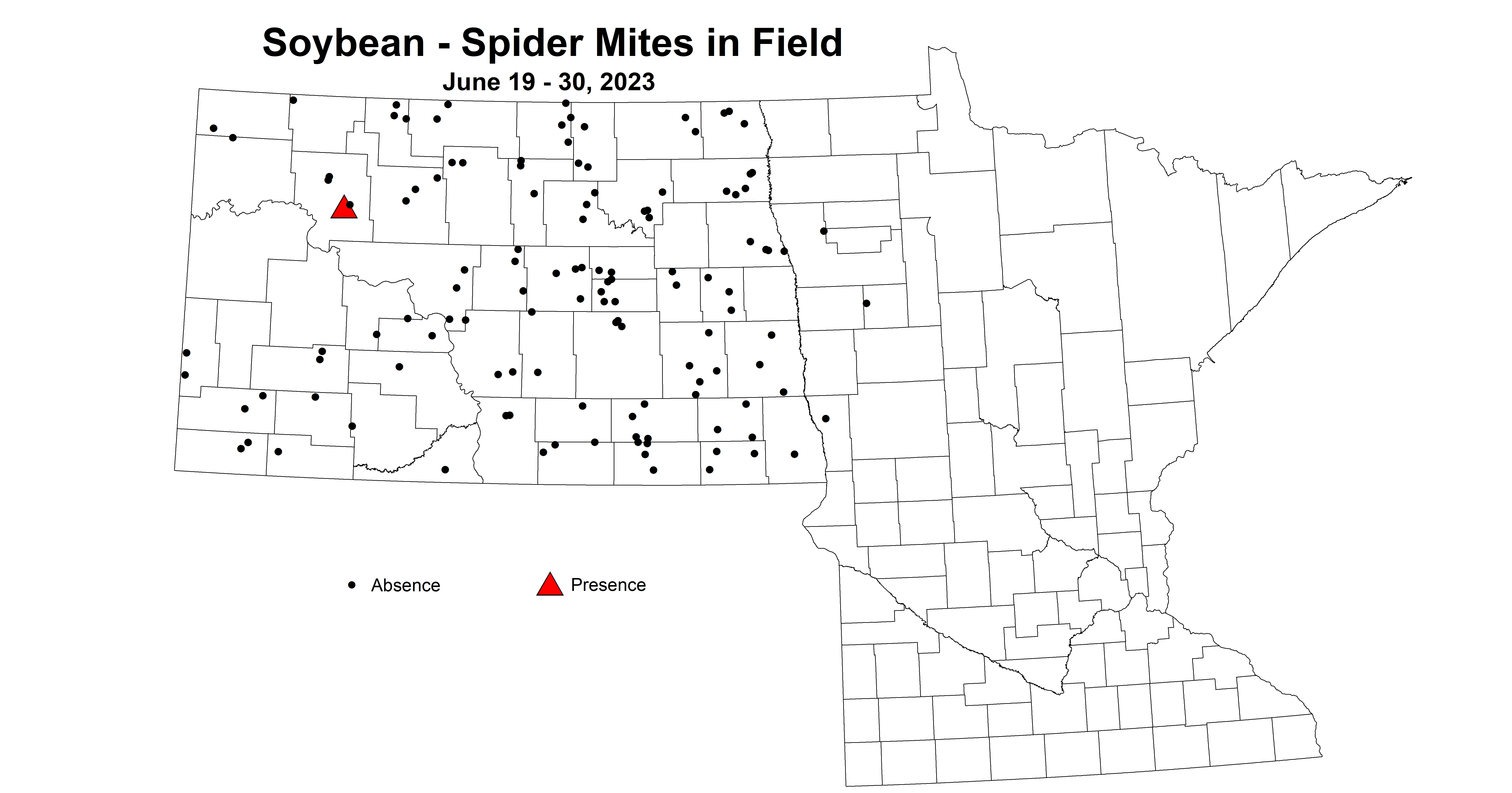 soybean spider mites in field June 19-30 2023