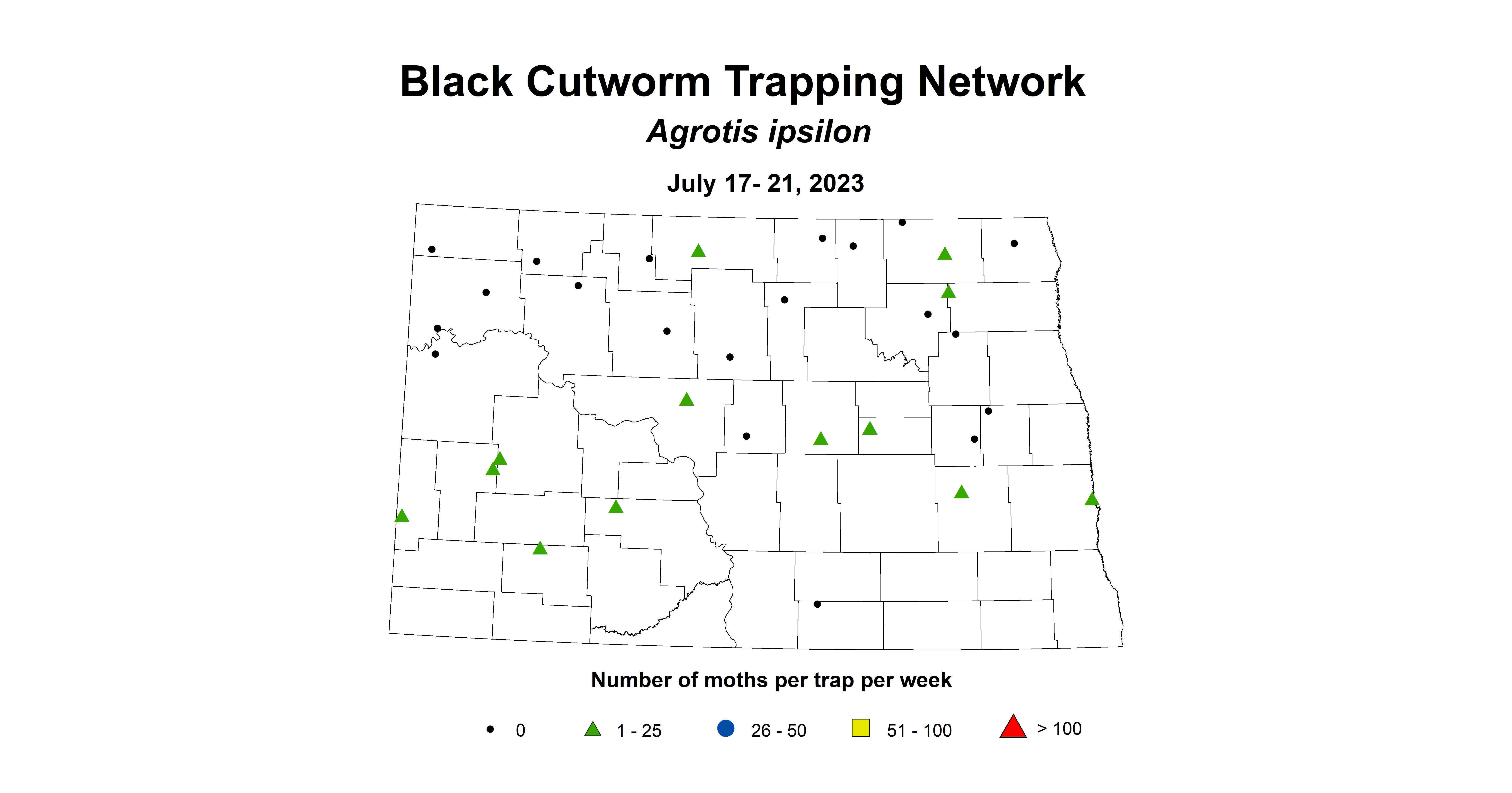 wheat black cutworm insect trap July 17-21 2023