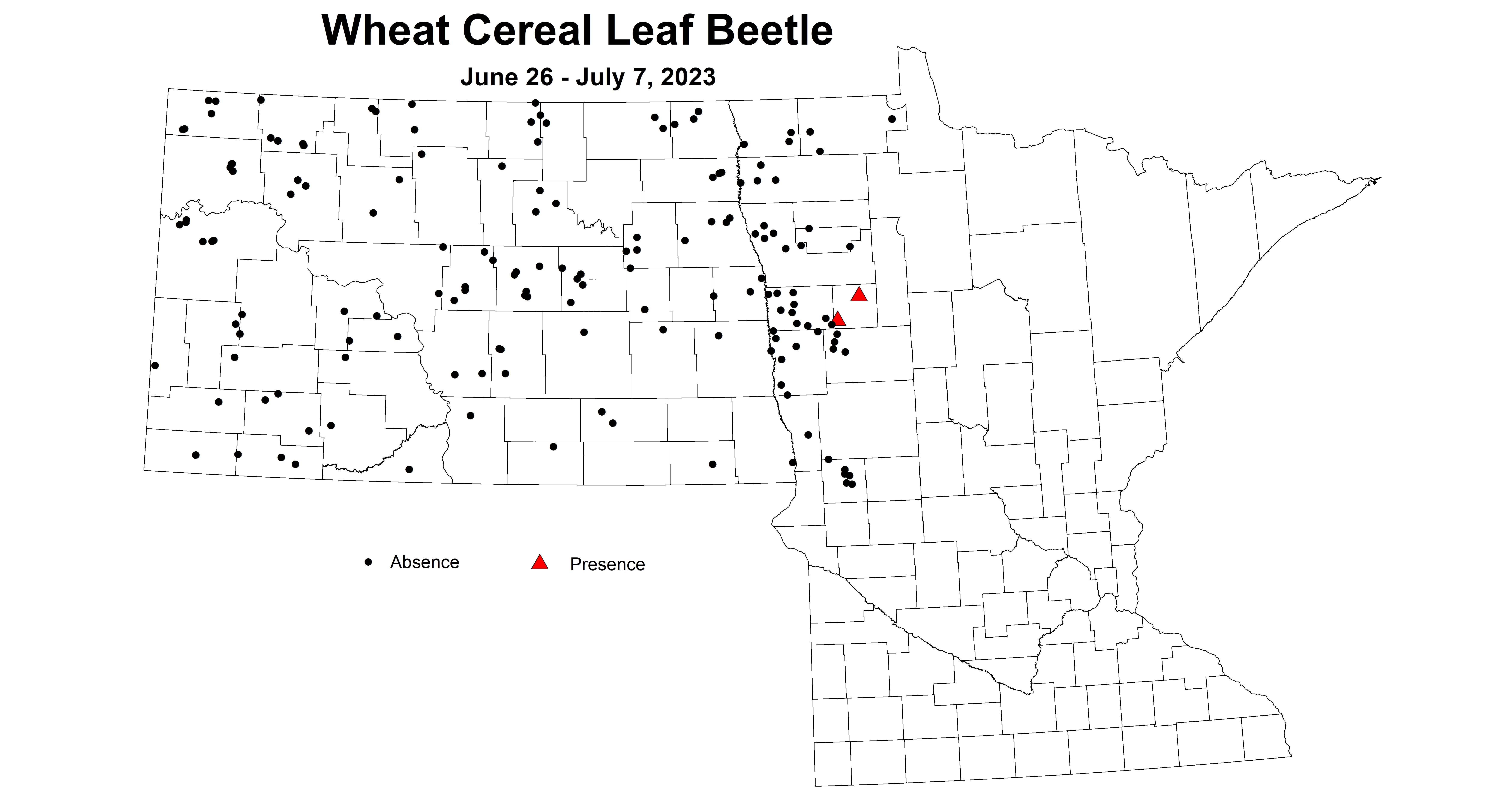 wheat cereal leaf beetle June 26 - July 7 2023