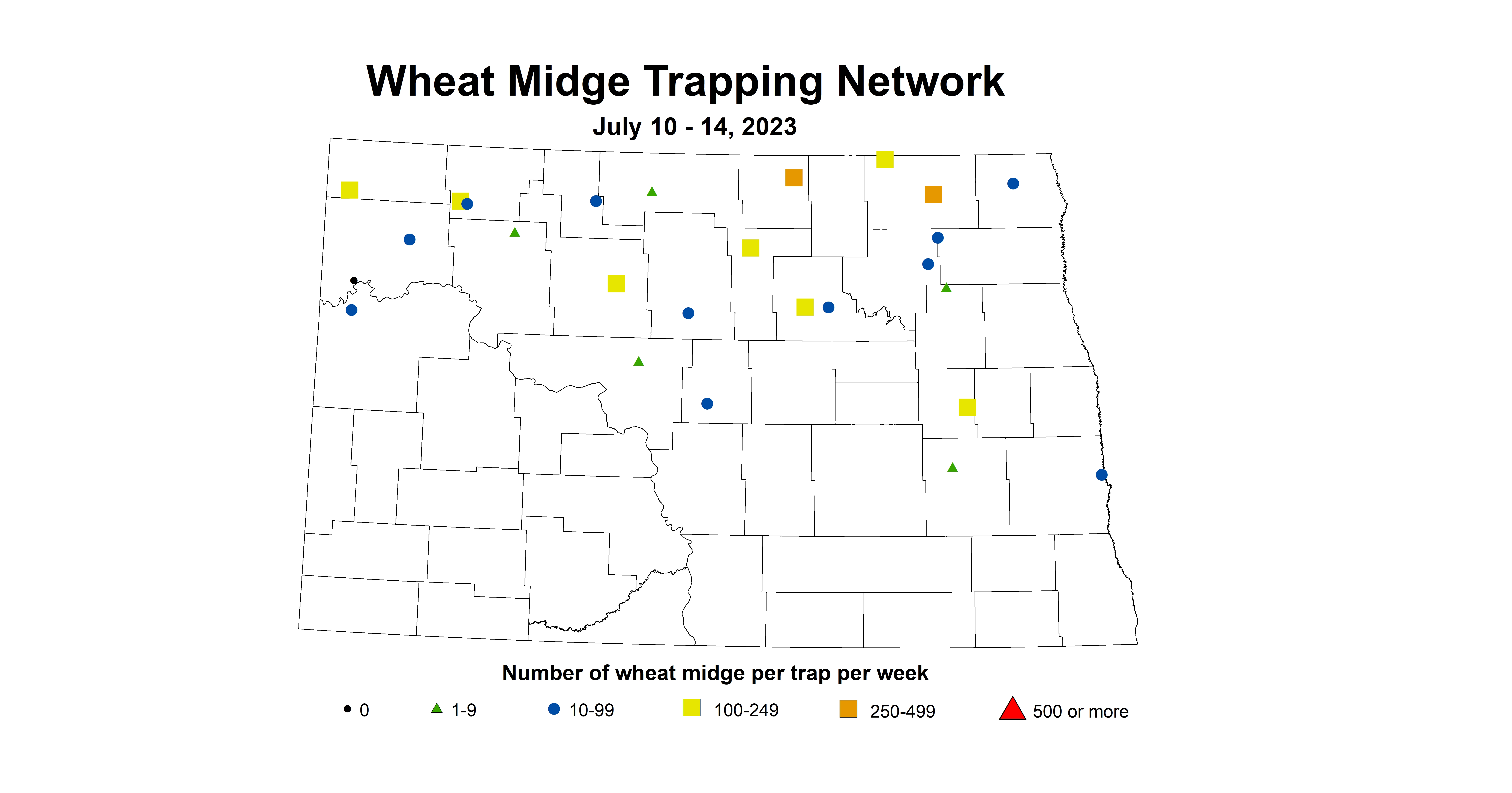 wheat midge trap July 10-14 2023