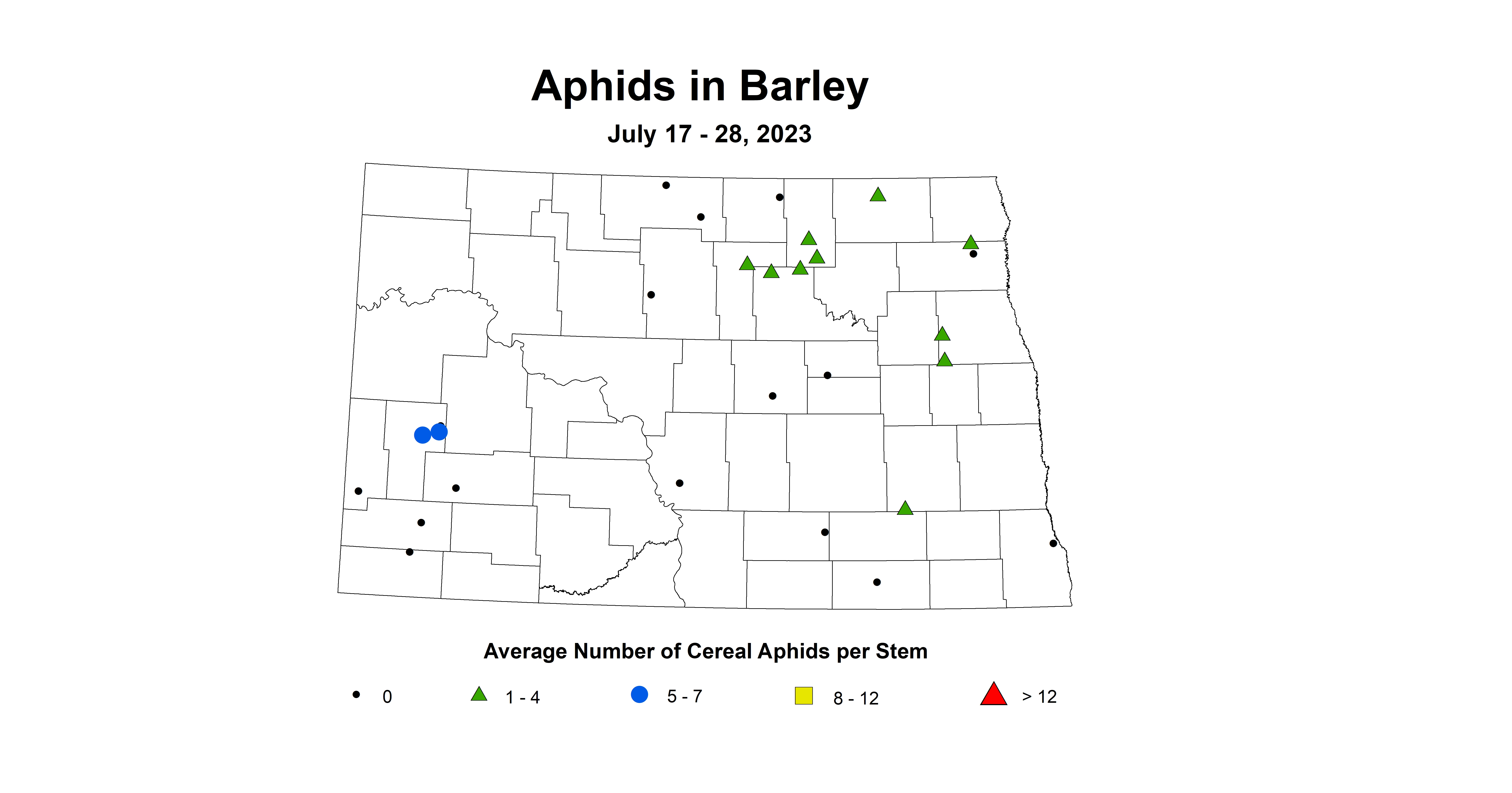 barley aphid July 17-28 2023