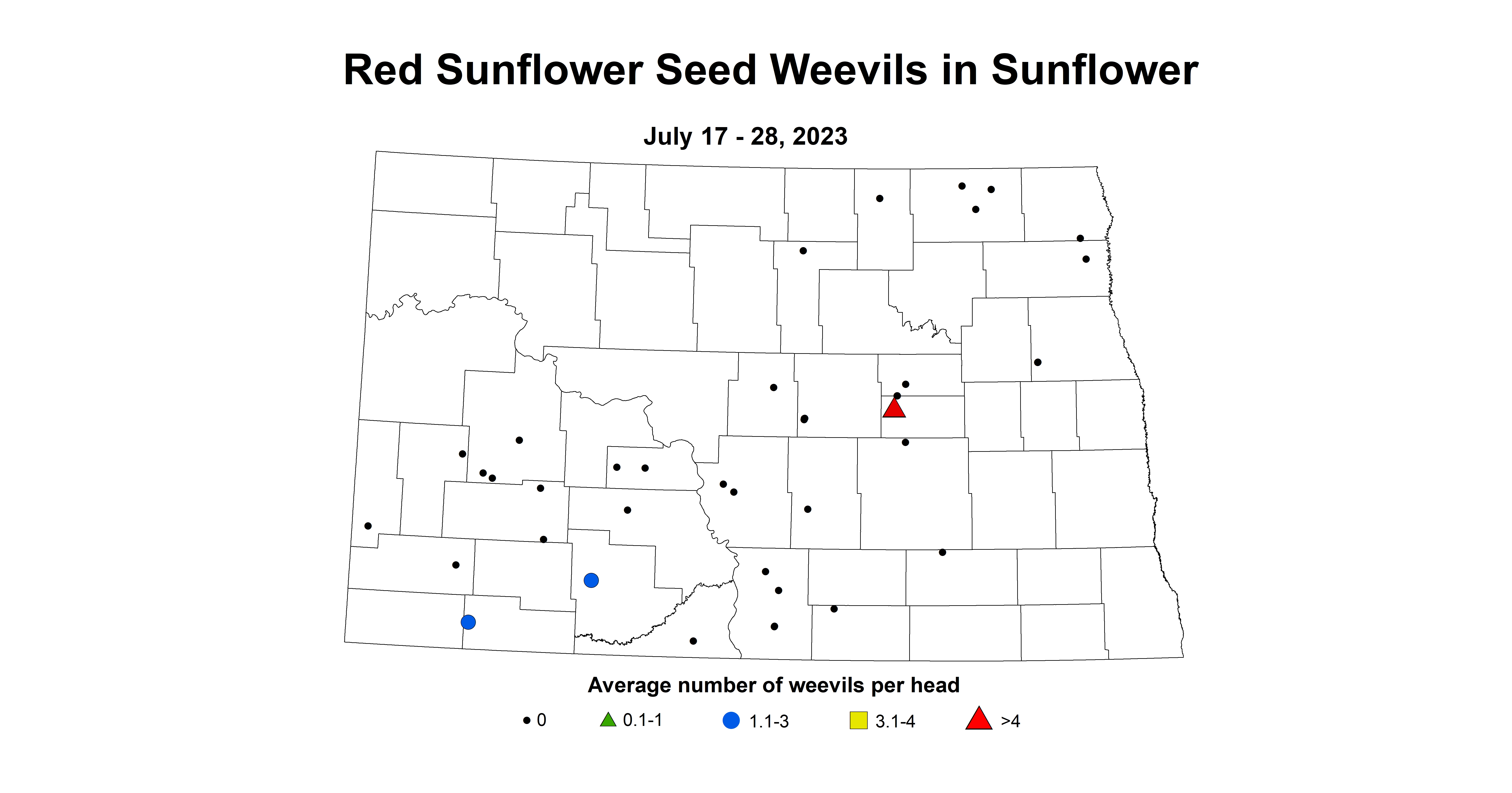 red sunflower seed weevils July 17-28 2023