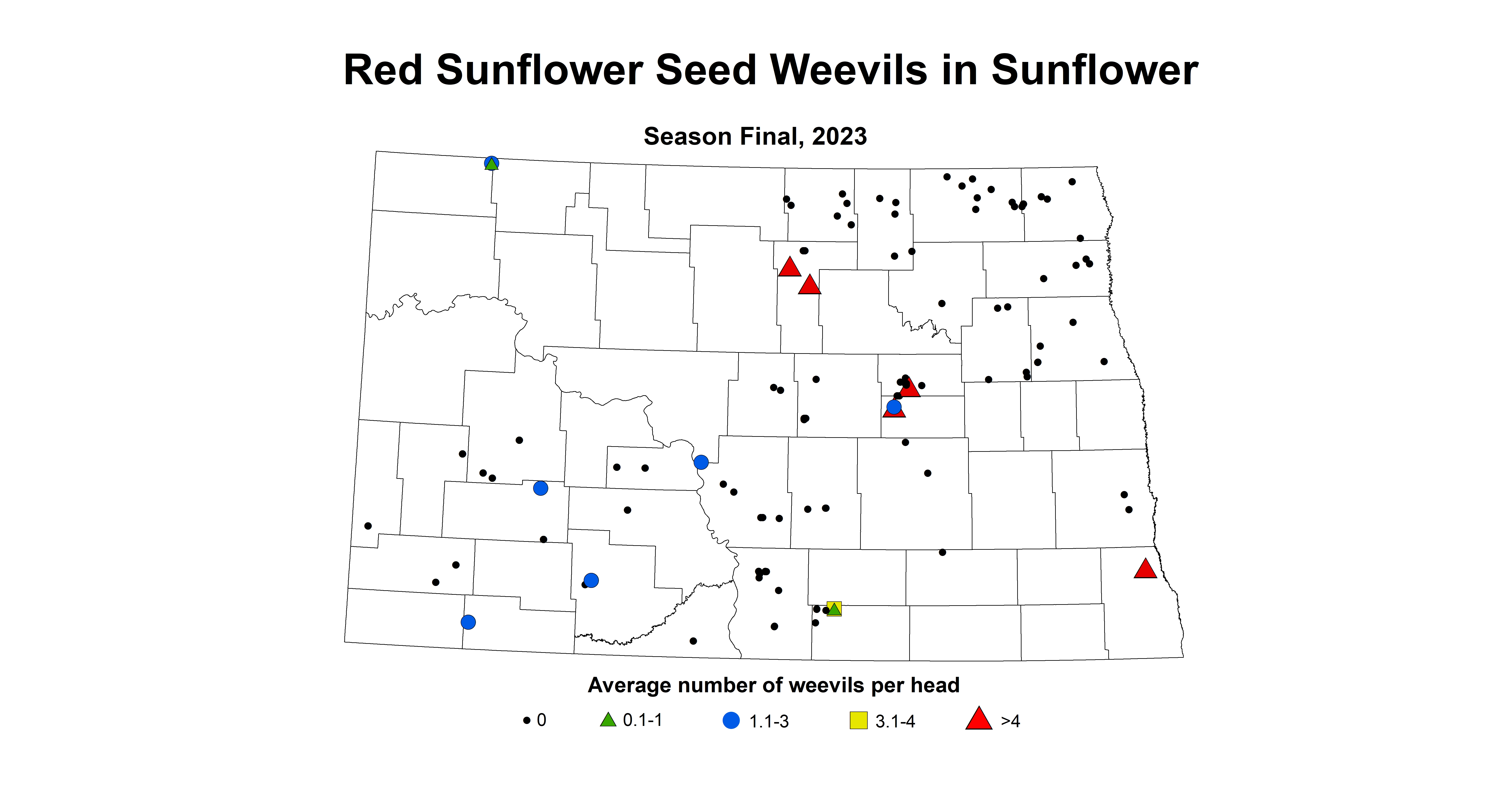 red sunflower seed weevils season final 2023
