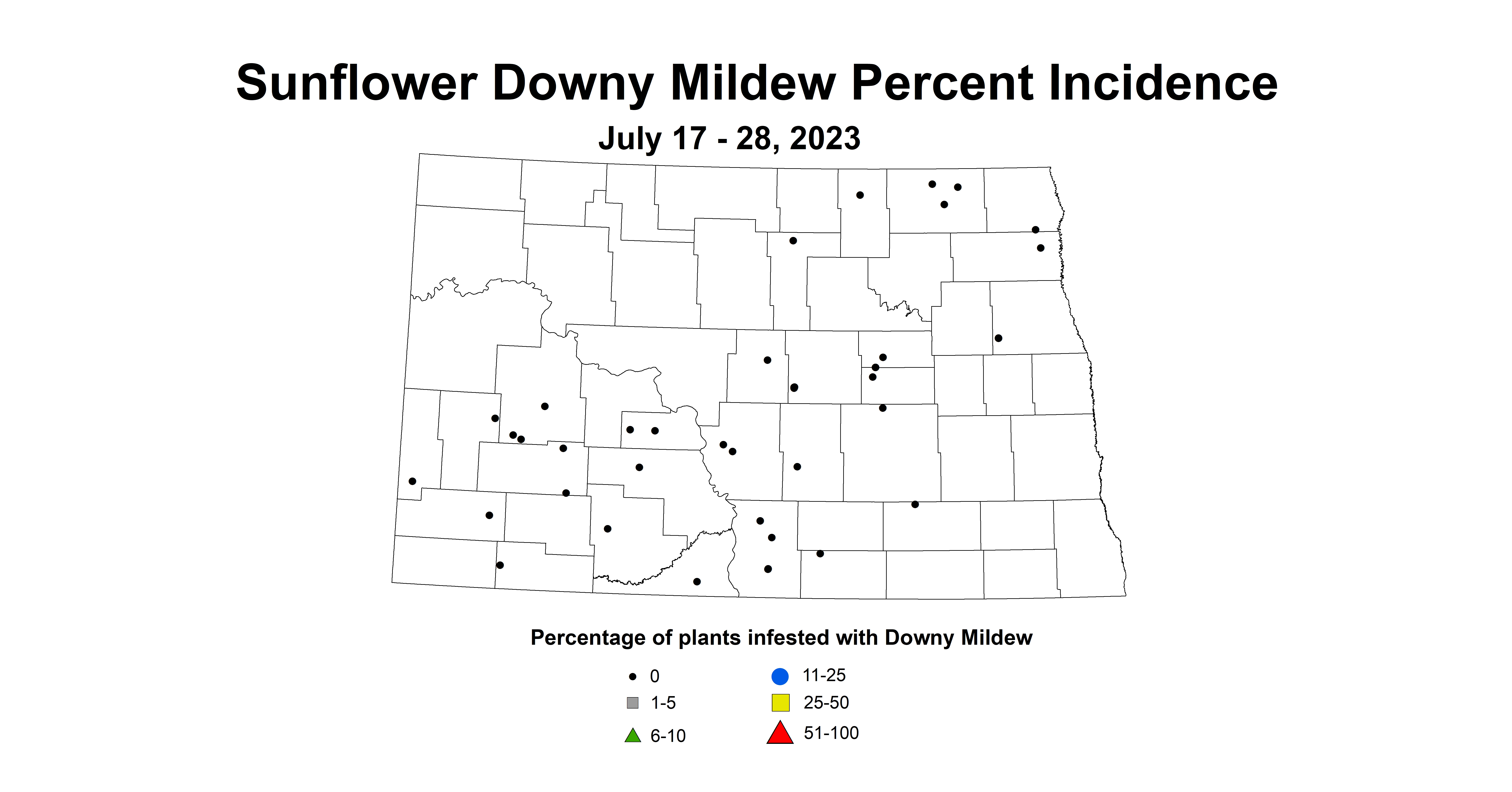 sunflower downy mildew July 17-28 2023