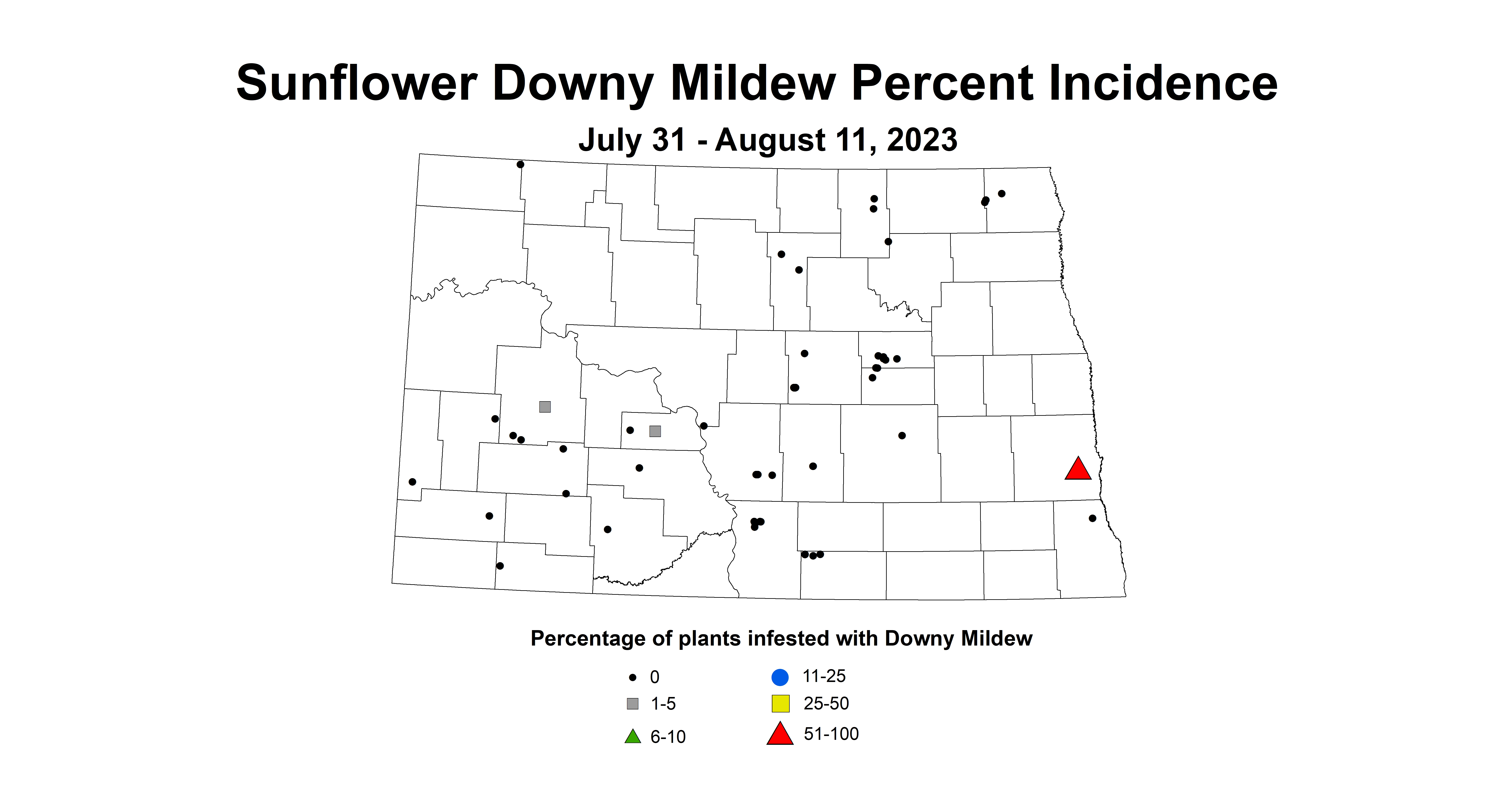 sunflower downy mildew percent incidence 7.31-8.11 2023