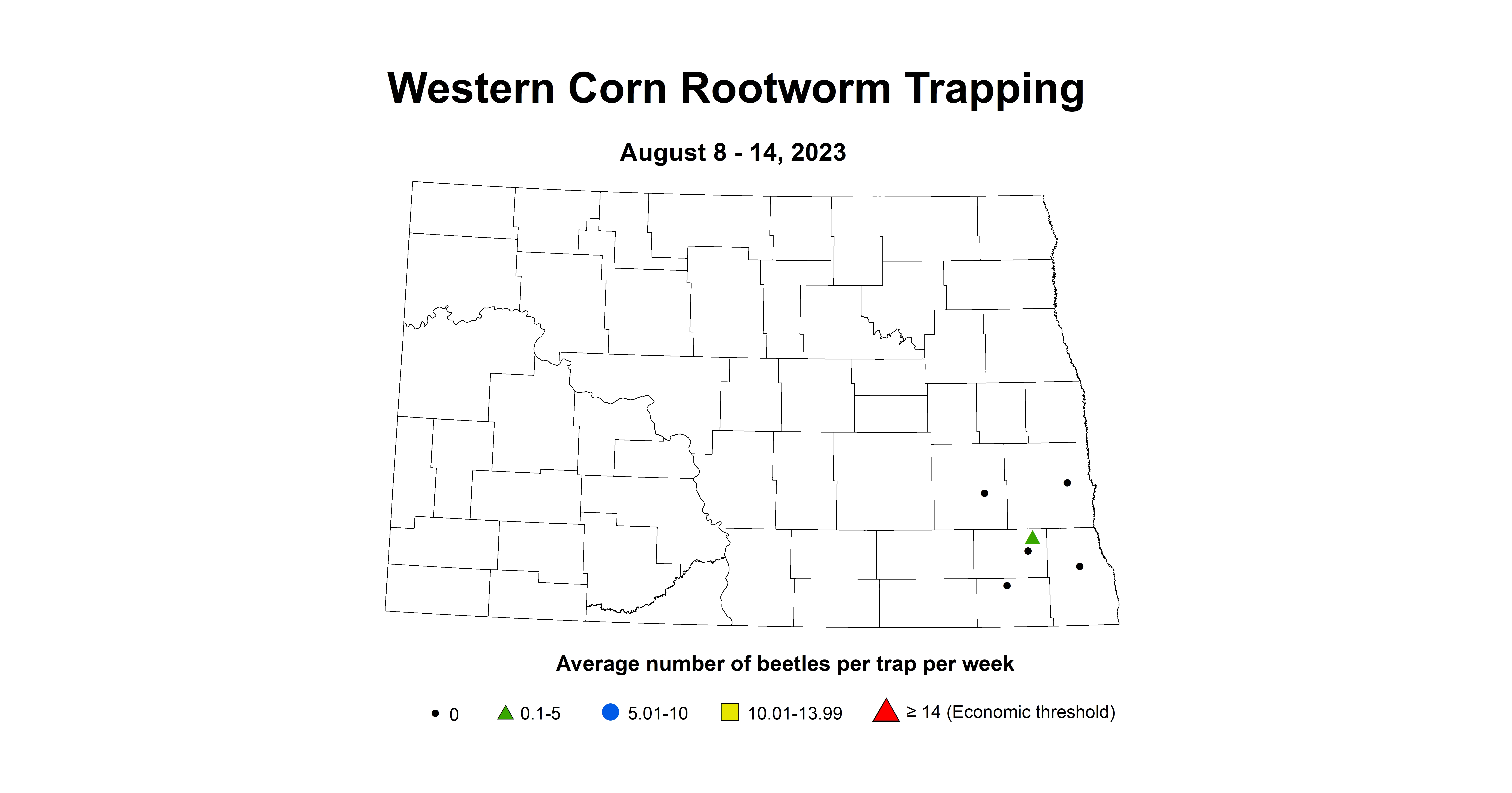 western corn rootworm August 8-14 2023