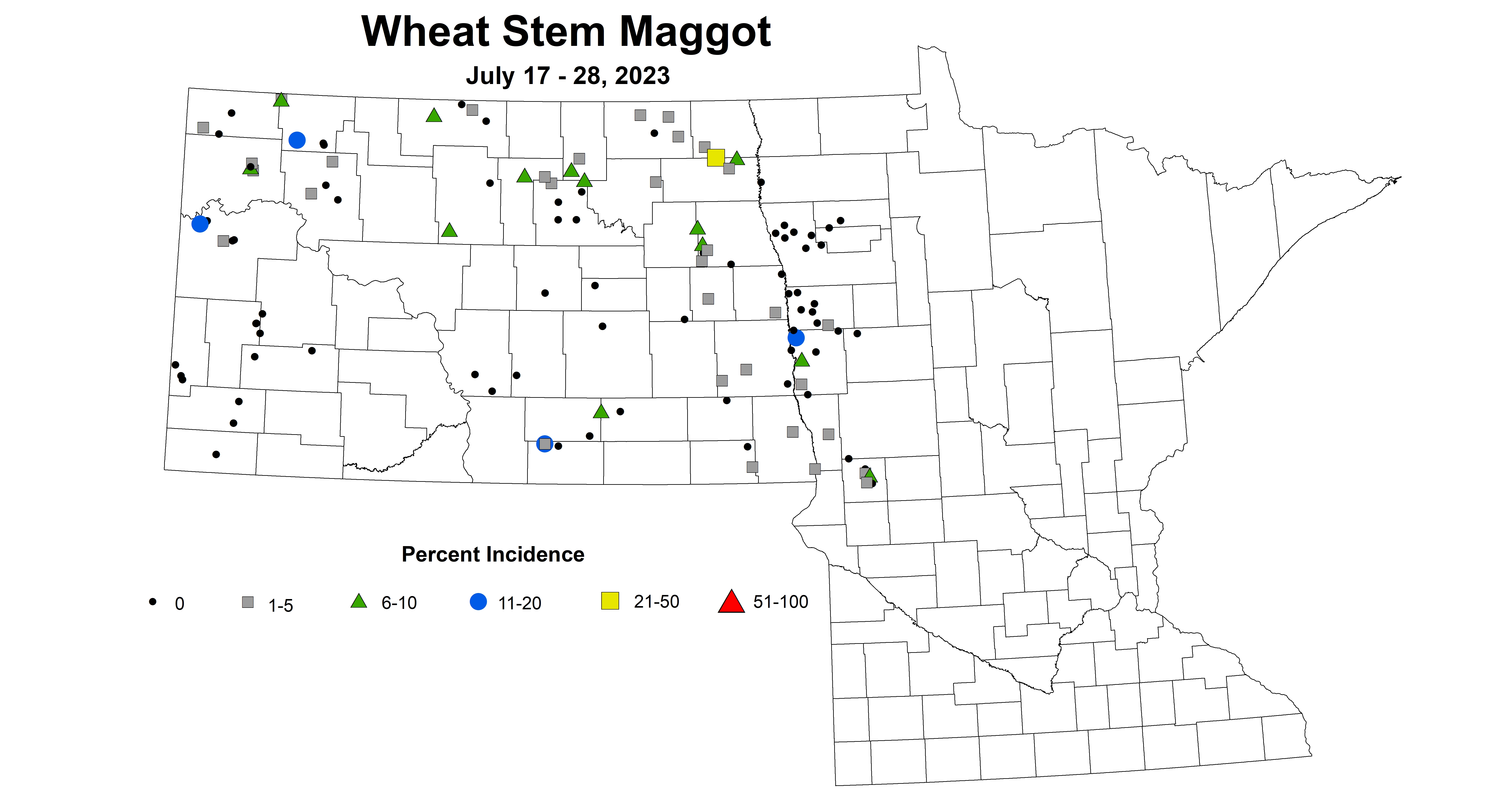 wheat maggot July 17-28 2023