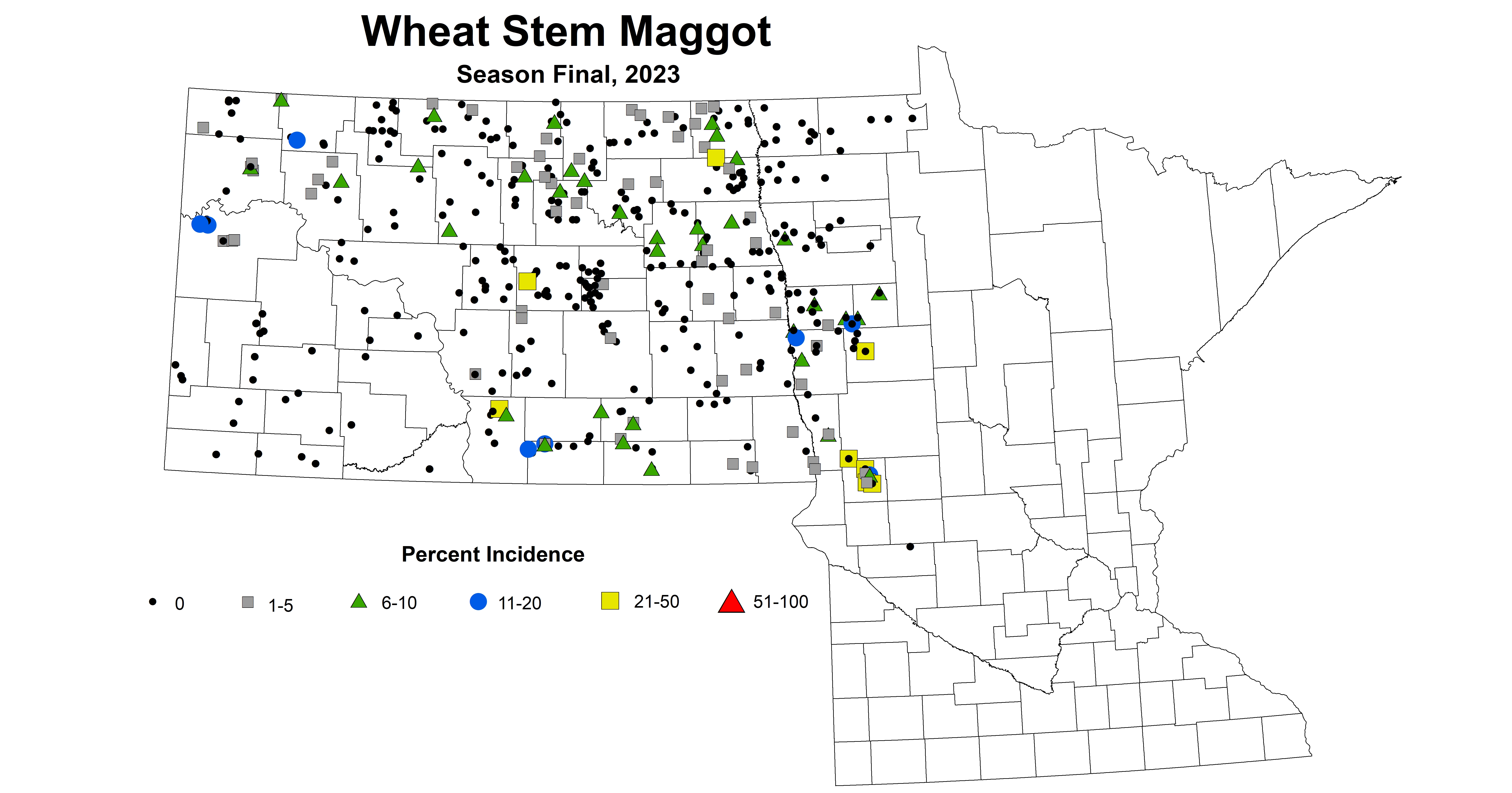 wheat maggot season final 2023