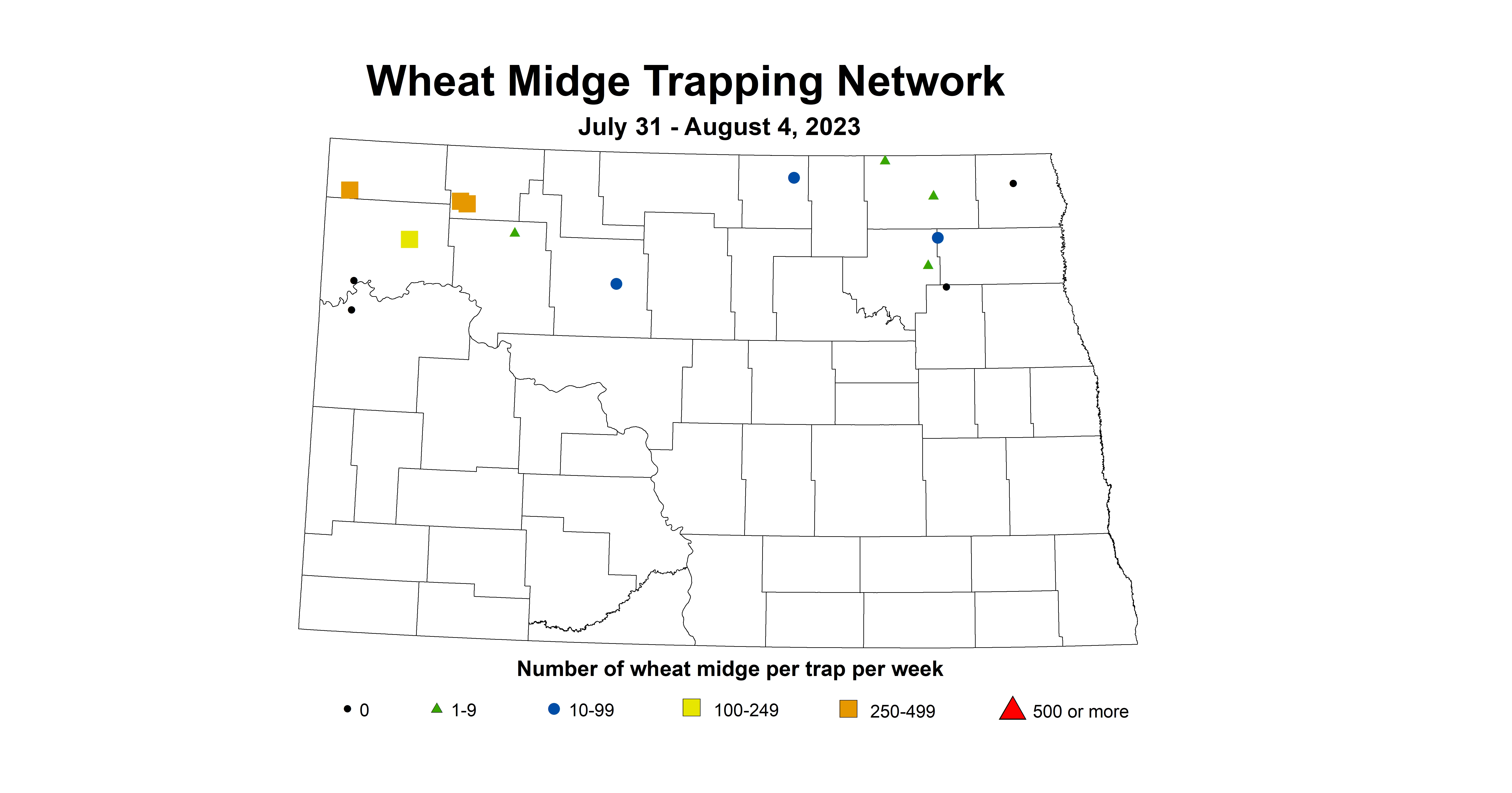 wheat midgetrap 7.31-8.4 2023