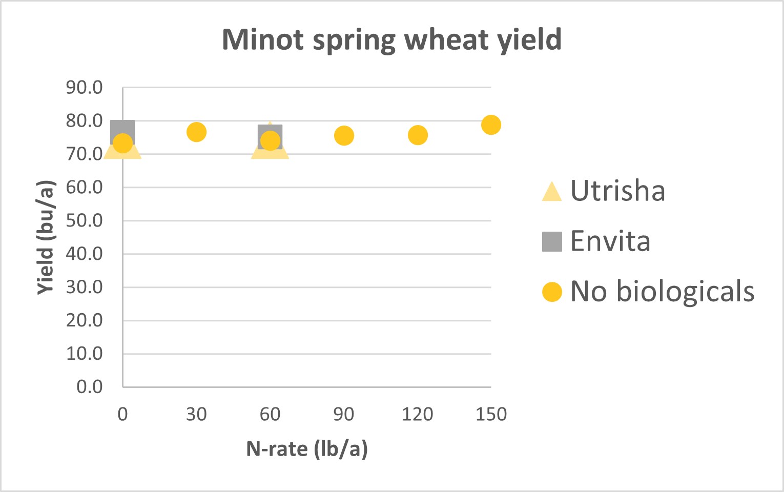 Graph showing spring wheat yield response to nitrogen rates and biological products at Minot in 2023.