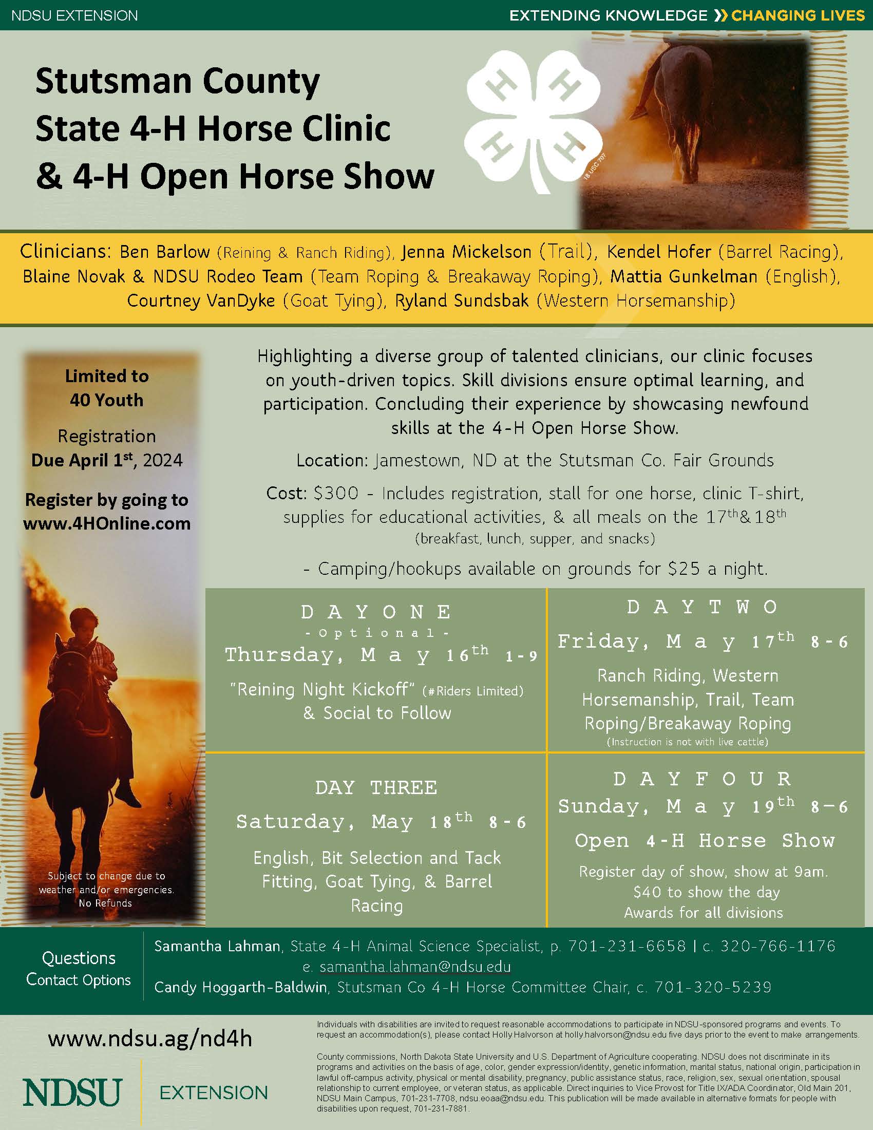 Horse clinic and horse show