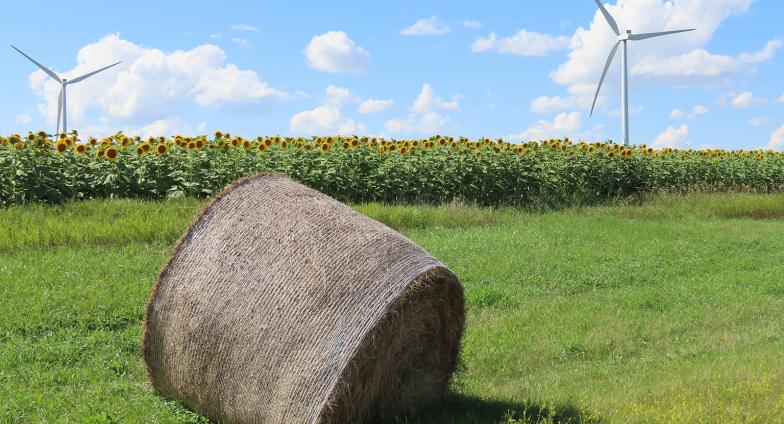 haybale in front of a sunflower field with windmills on either side