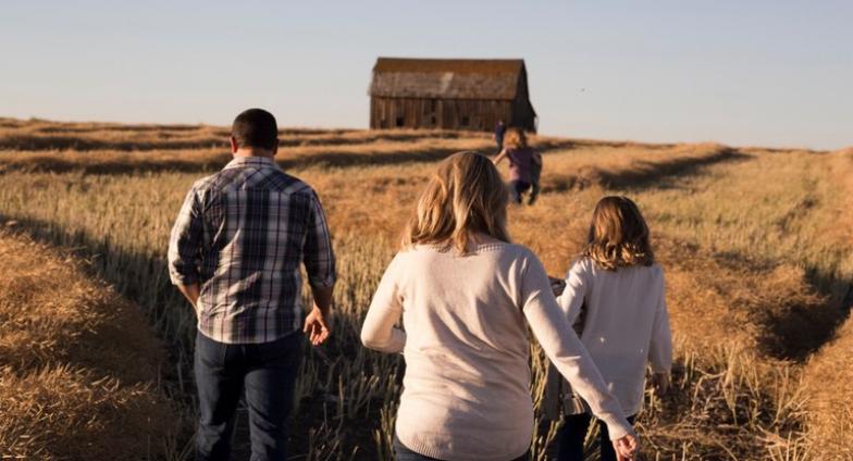 A family wals away from the camera through tall yellow grass toward an old barn with no paint on it. Two of the children can be seen in the distance, closer to the barn, the two parents and another child are closer to the camera.