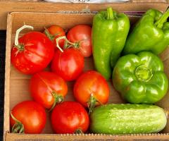 shallow box with tomatoes, green peppers and cucumber