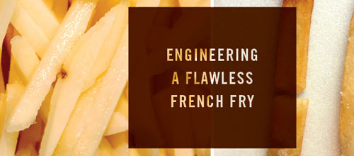 Flawless french fry