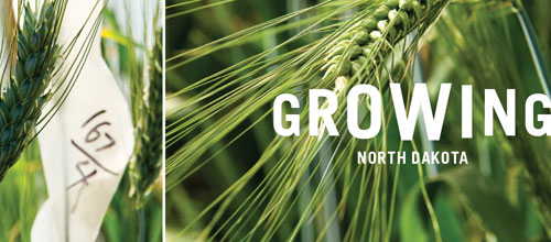 Growing North Dakota