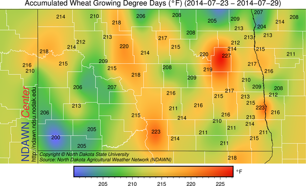 Weekly Wheat GDDs