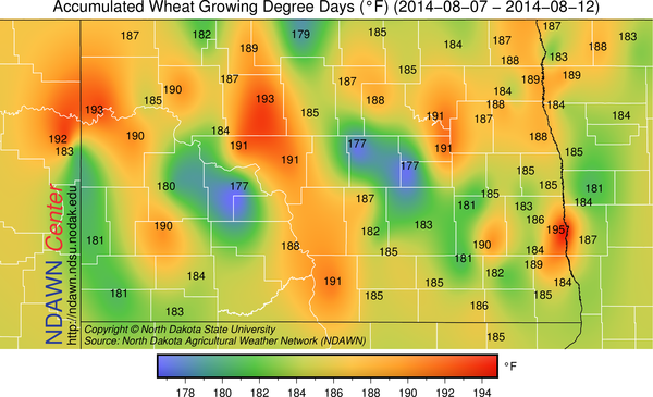 weekly wheat GDDs
