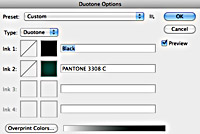 Duotone dialogue box.