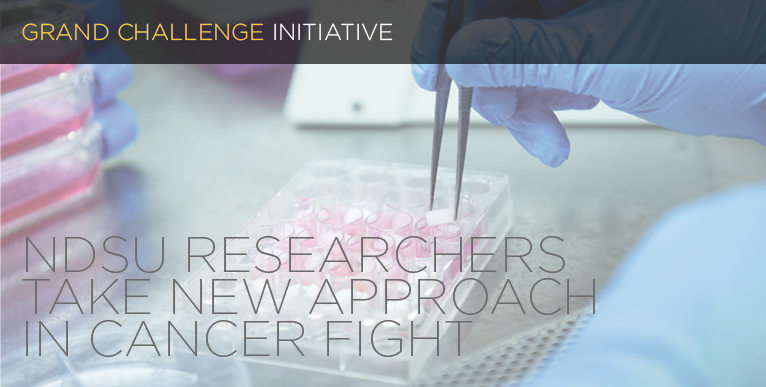 NDSU researchers take new approach in cancer fight