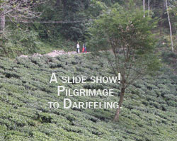 Darjeeling slide show.