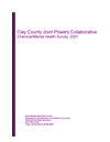 2001 Chemical/Mental Health Survey Cover