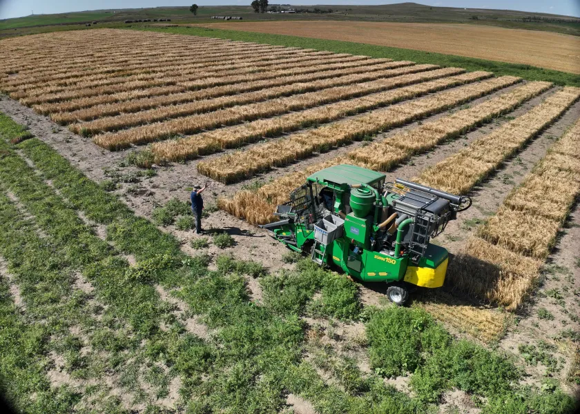 Researchers work in a field.