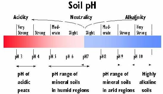 Soil pH