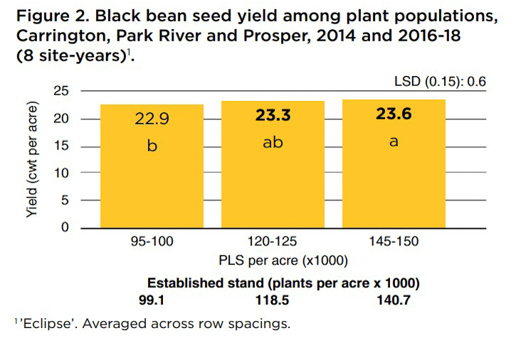 Black been seed_1