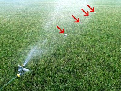 The Right Way to Water Your Lawn