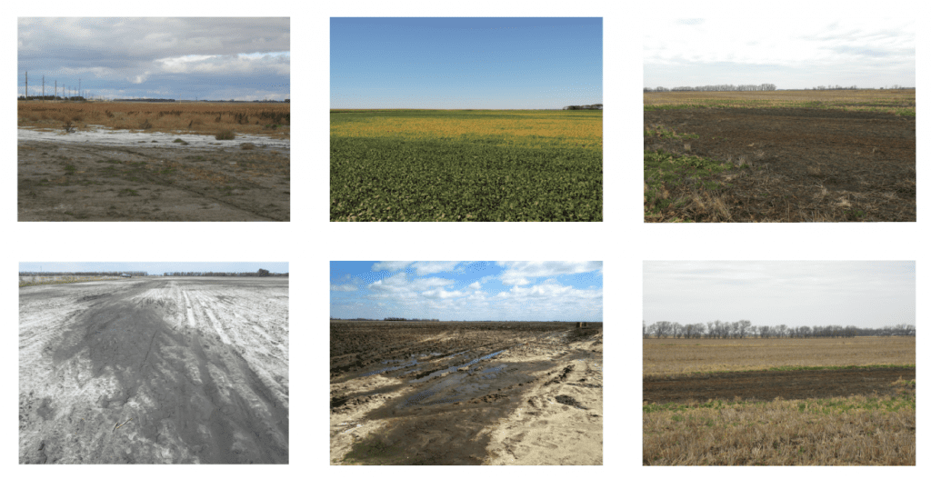 Soil Salinity