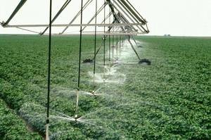 irrigation sprinklers running in field