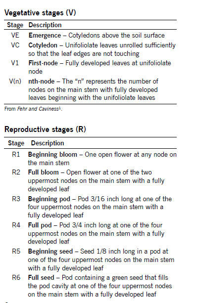 vegetative-stages